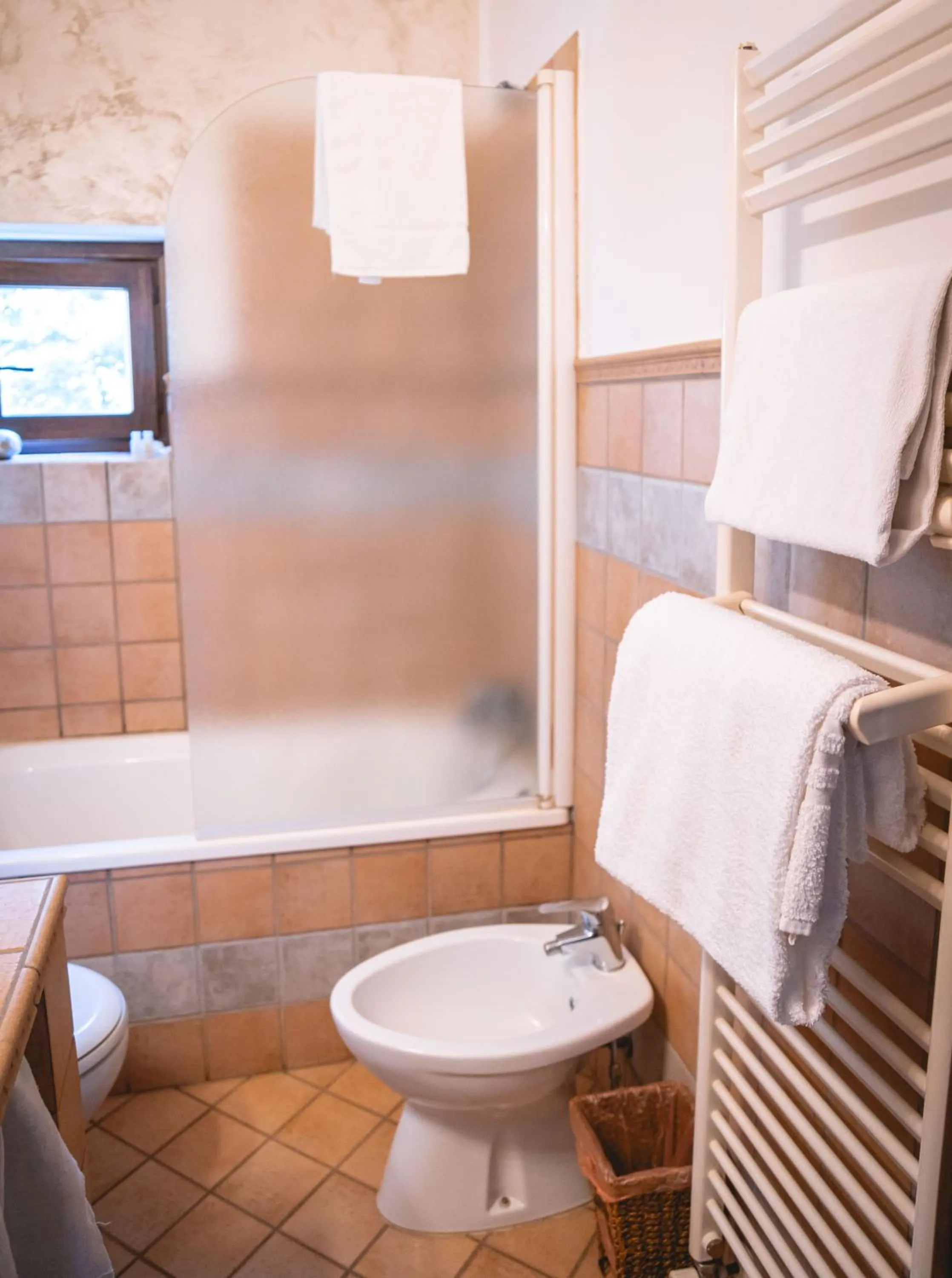 Shower in Le Pozze Terme B&B