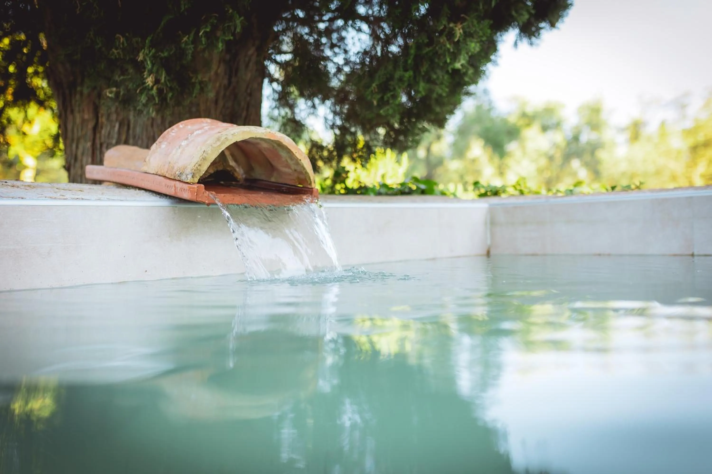 Spring in Le Pozze Terme B&B