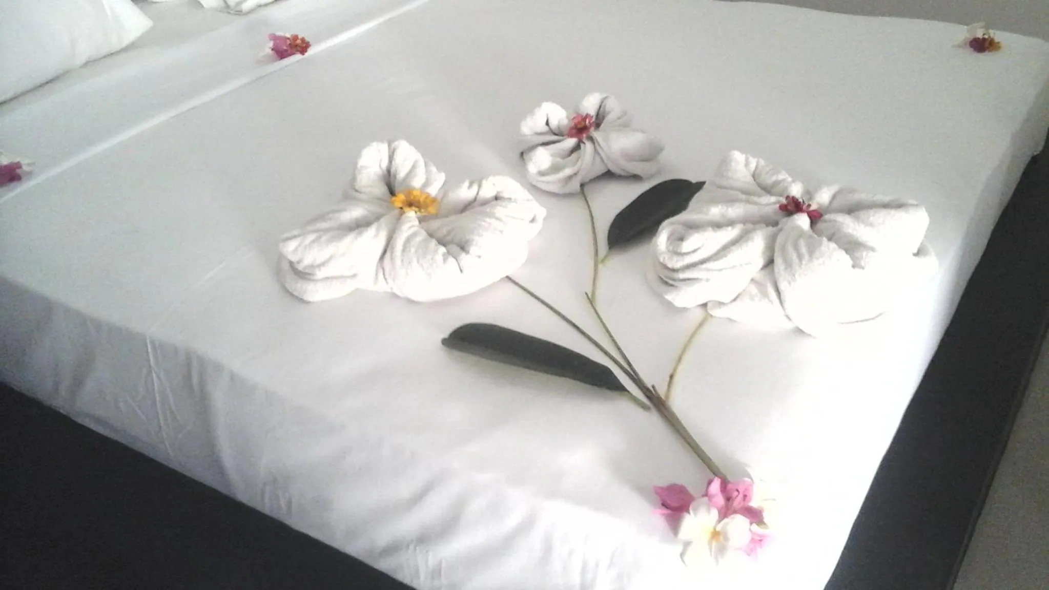 Bedroom, Bed in villa tom and jerry