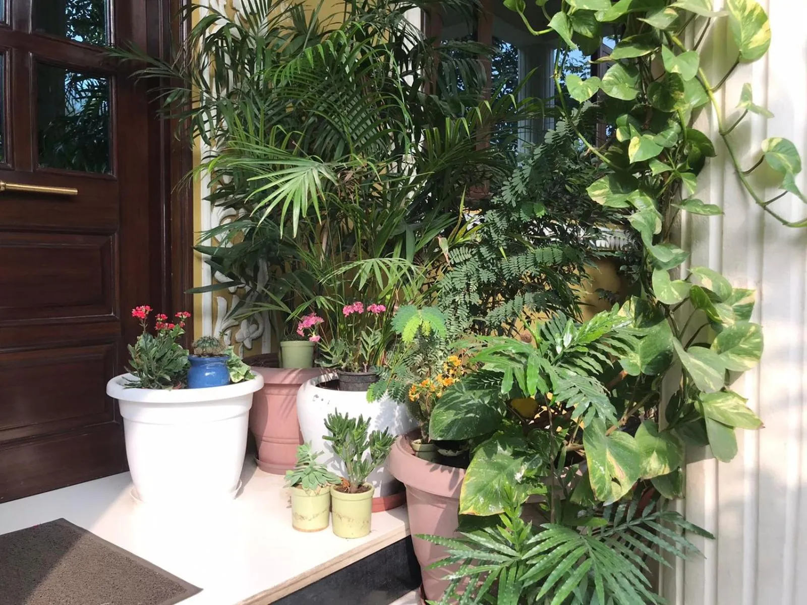 Property building in Jeenmount Heritage Boutique Hotel