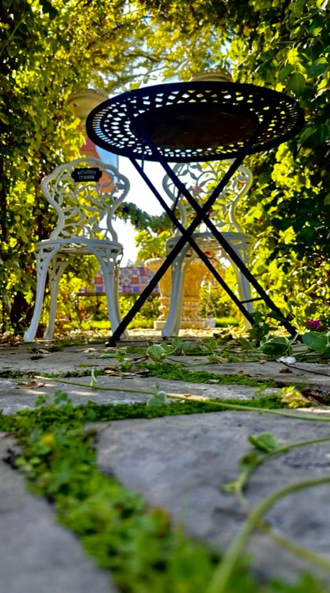 Garden in Chardonnay Lodge