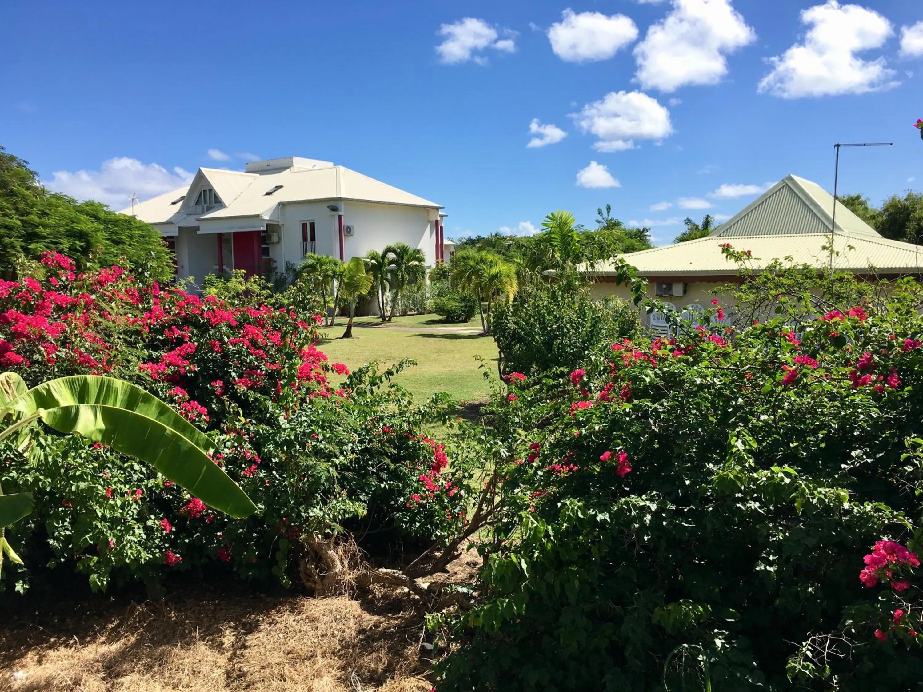 Property building in Résidence Le Vallon Guadeloupe Parc Piscine Appartements & Studios