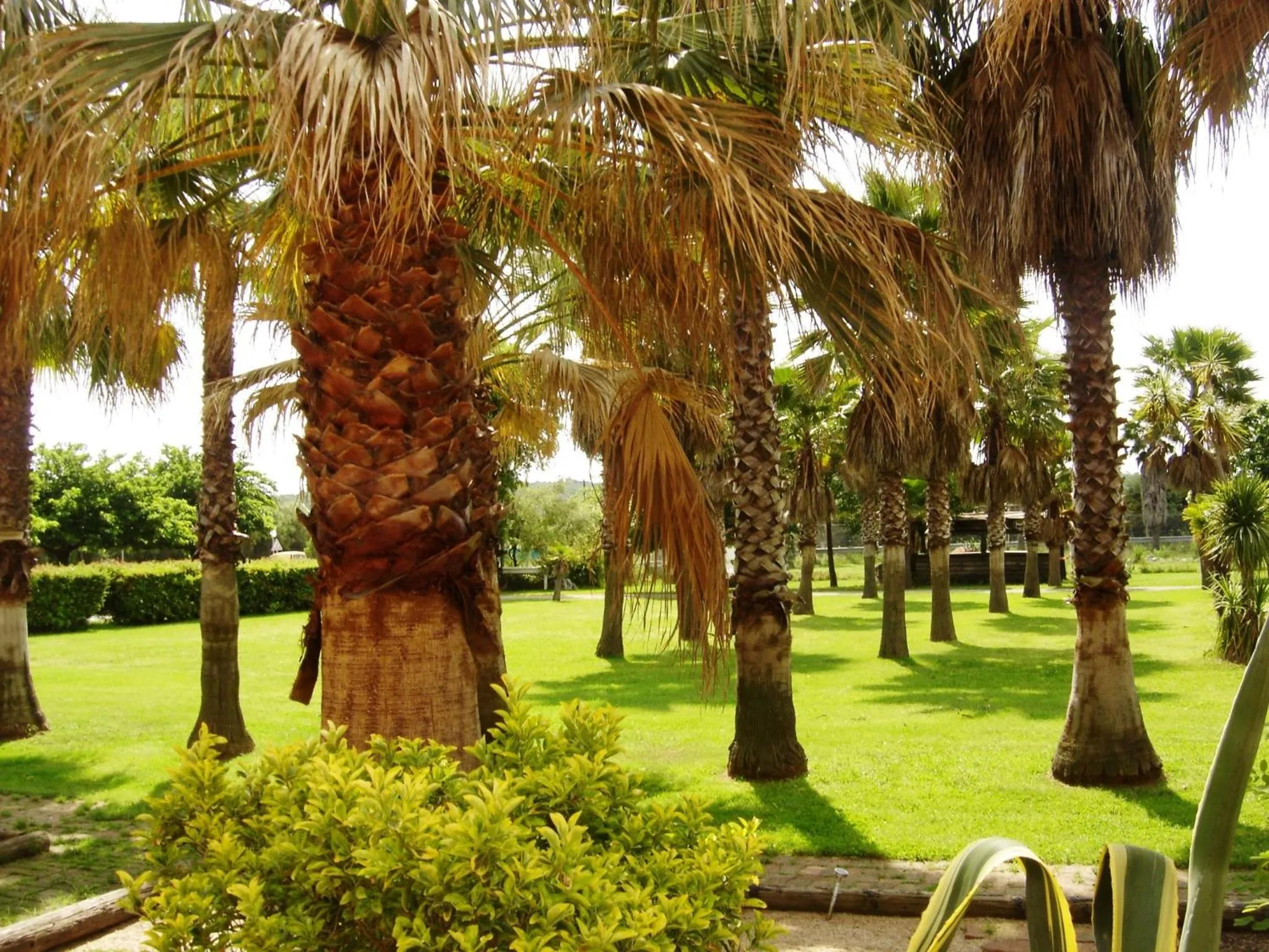 Facade/entrance in Le Banana's Hotel