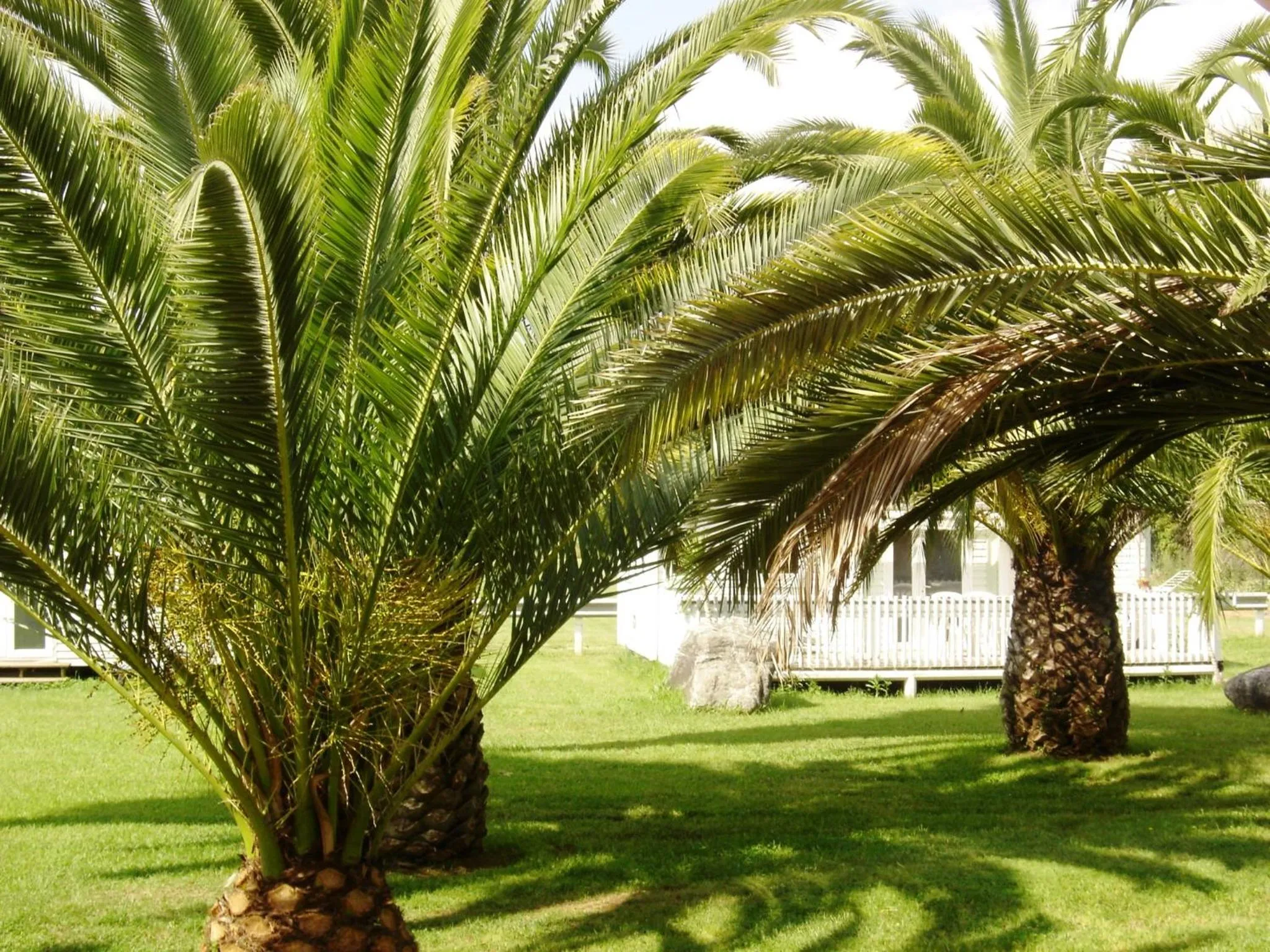 Facade/entrance in Le Banana's Hotel