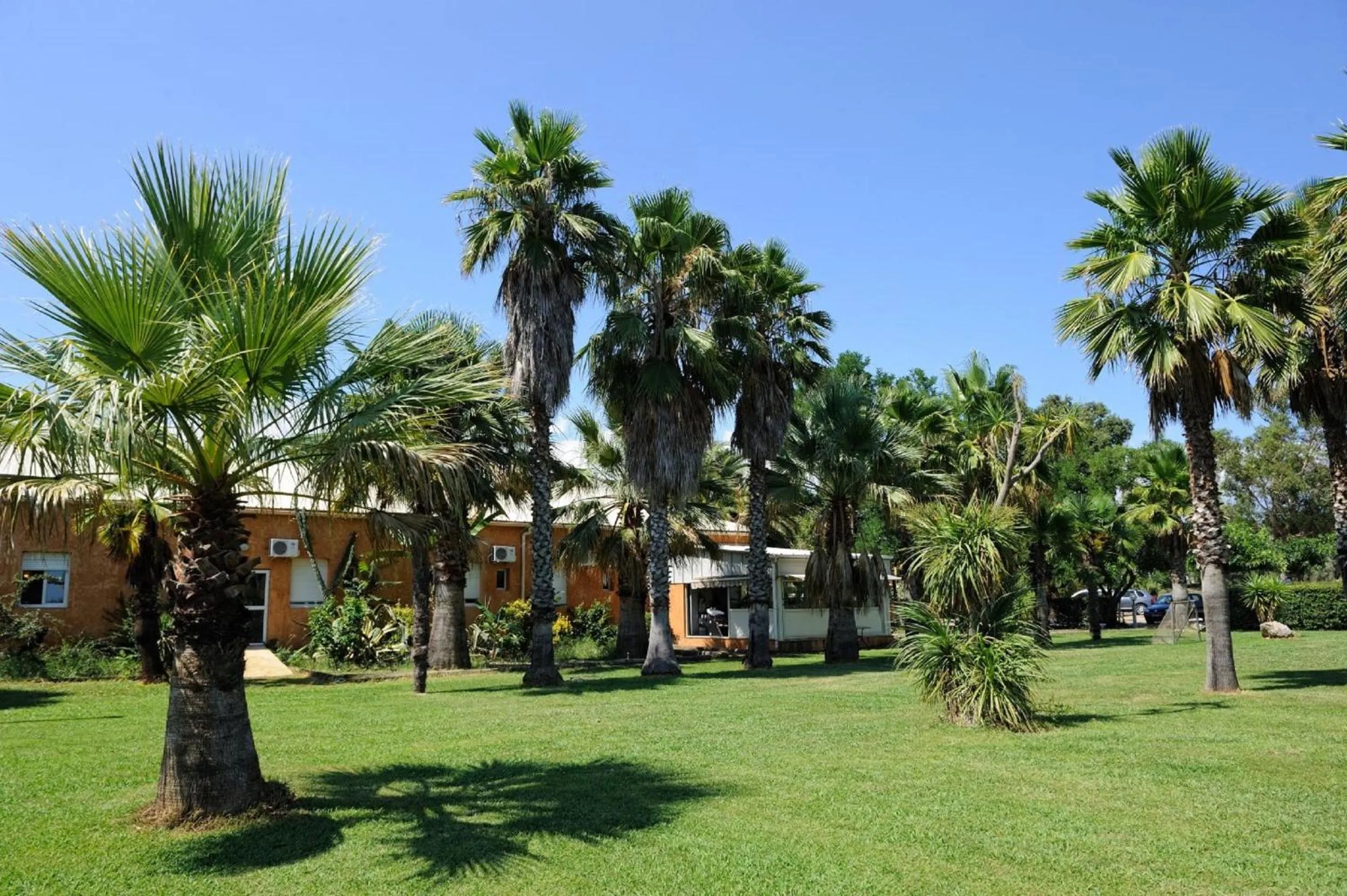 Garden in Le Banana's Hotel