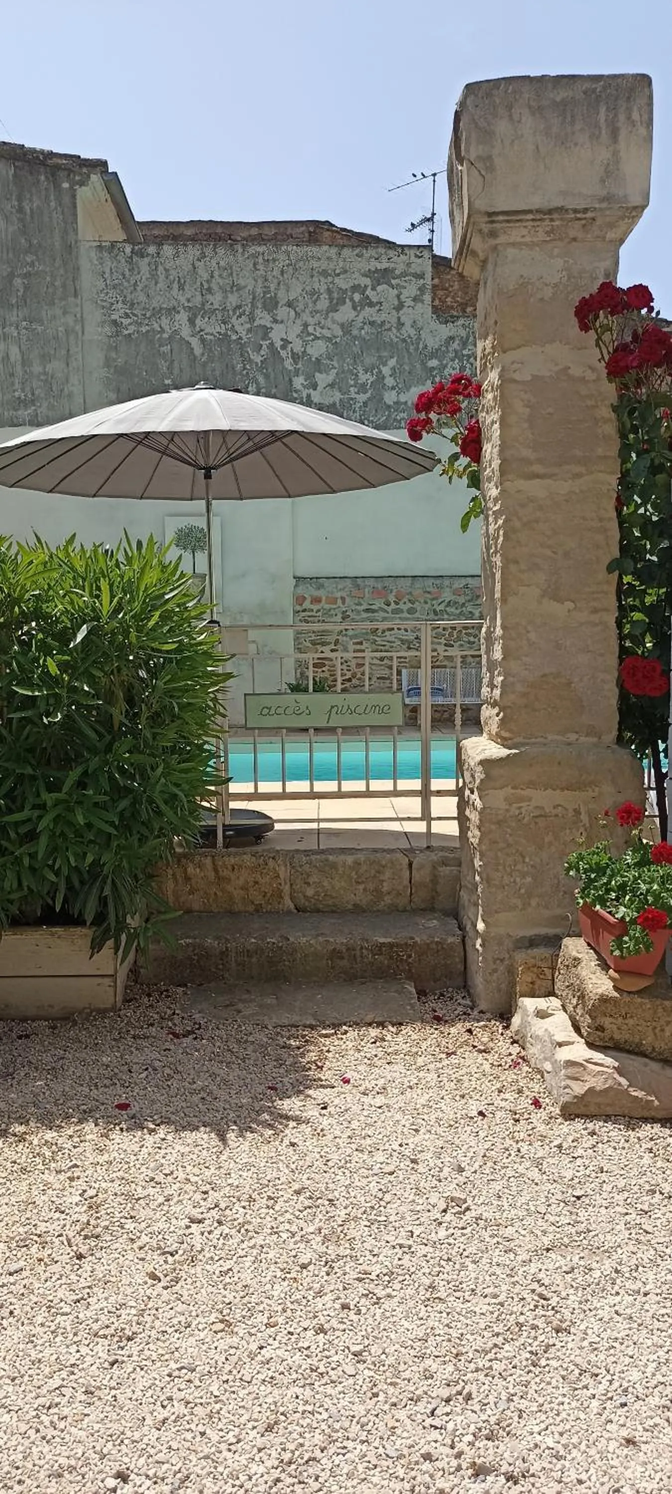 Swimming pool in Lacanepière