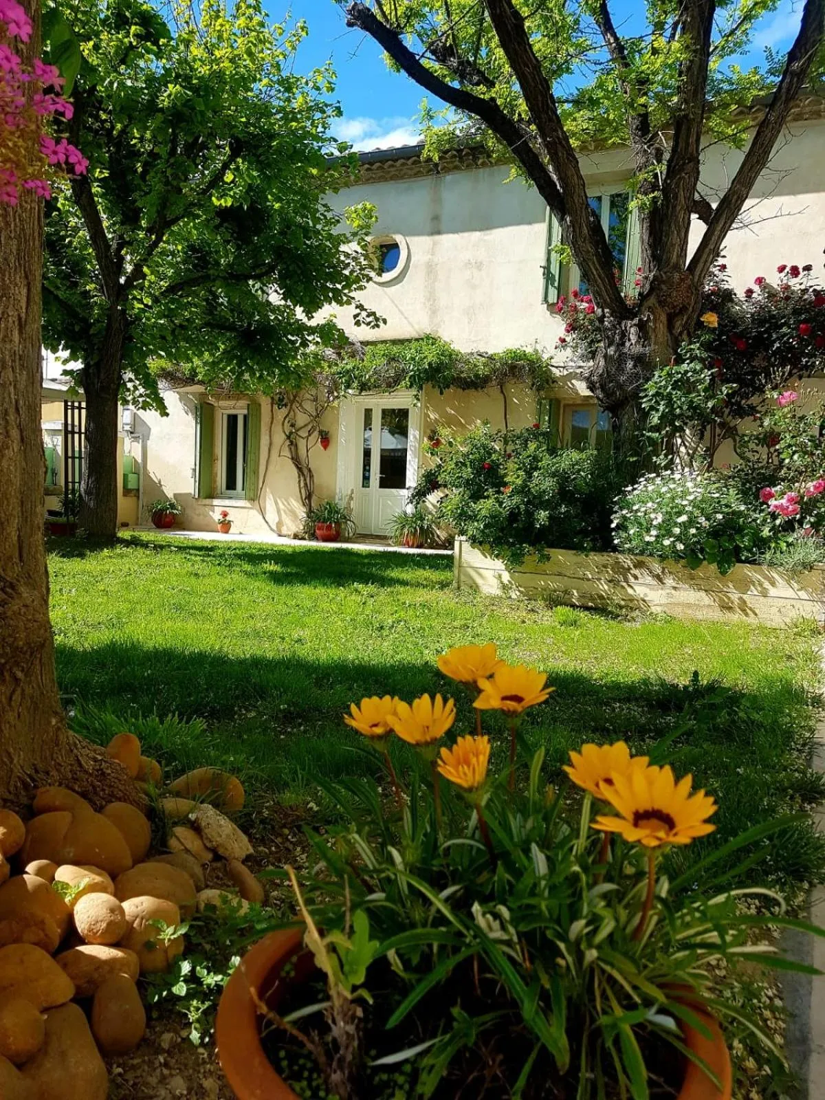 View (from property/room) in Lacanepière