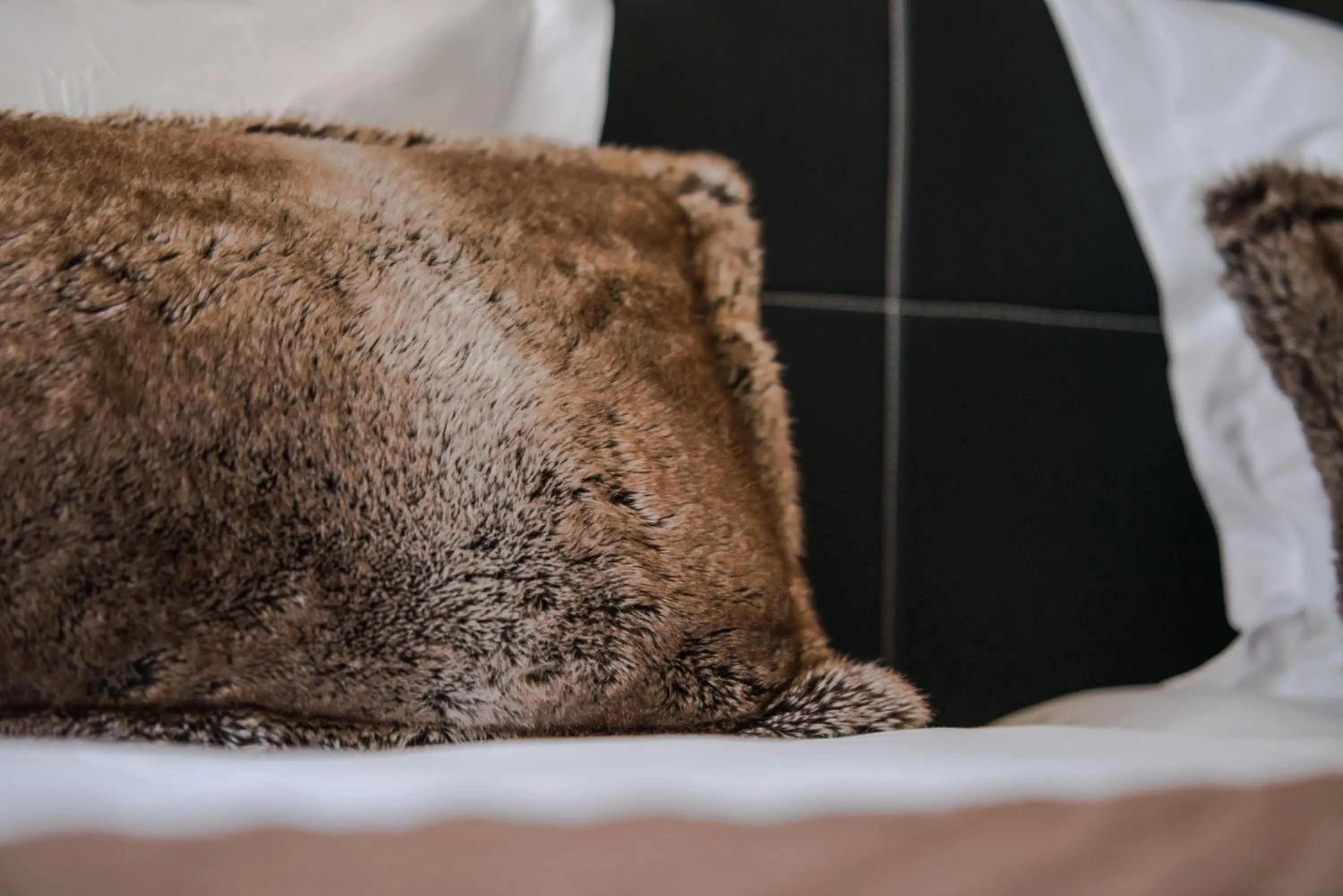 Superior Twin Room- Free Spa Access in Park Hotel Suisse & Spa