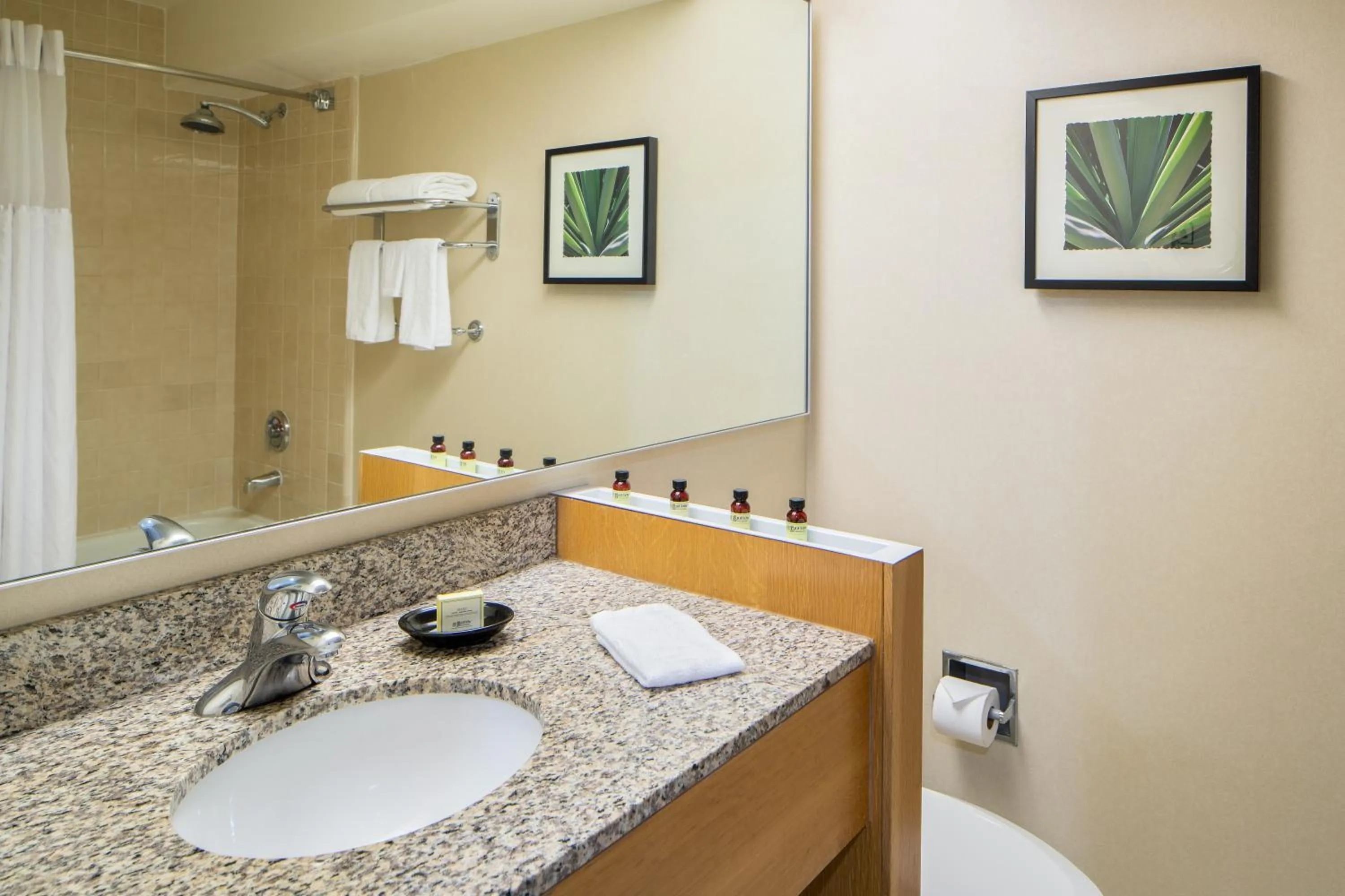 Shower in The Domain Hotel