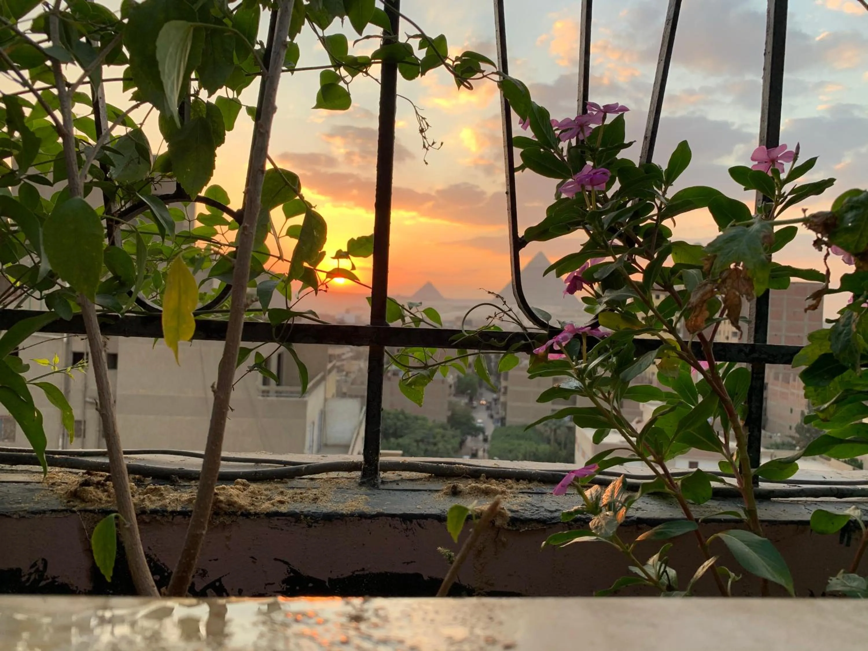 View (from property/room) in Draz pyramids view Bed & breakfast