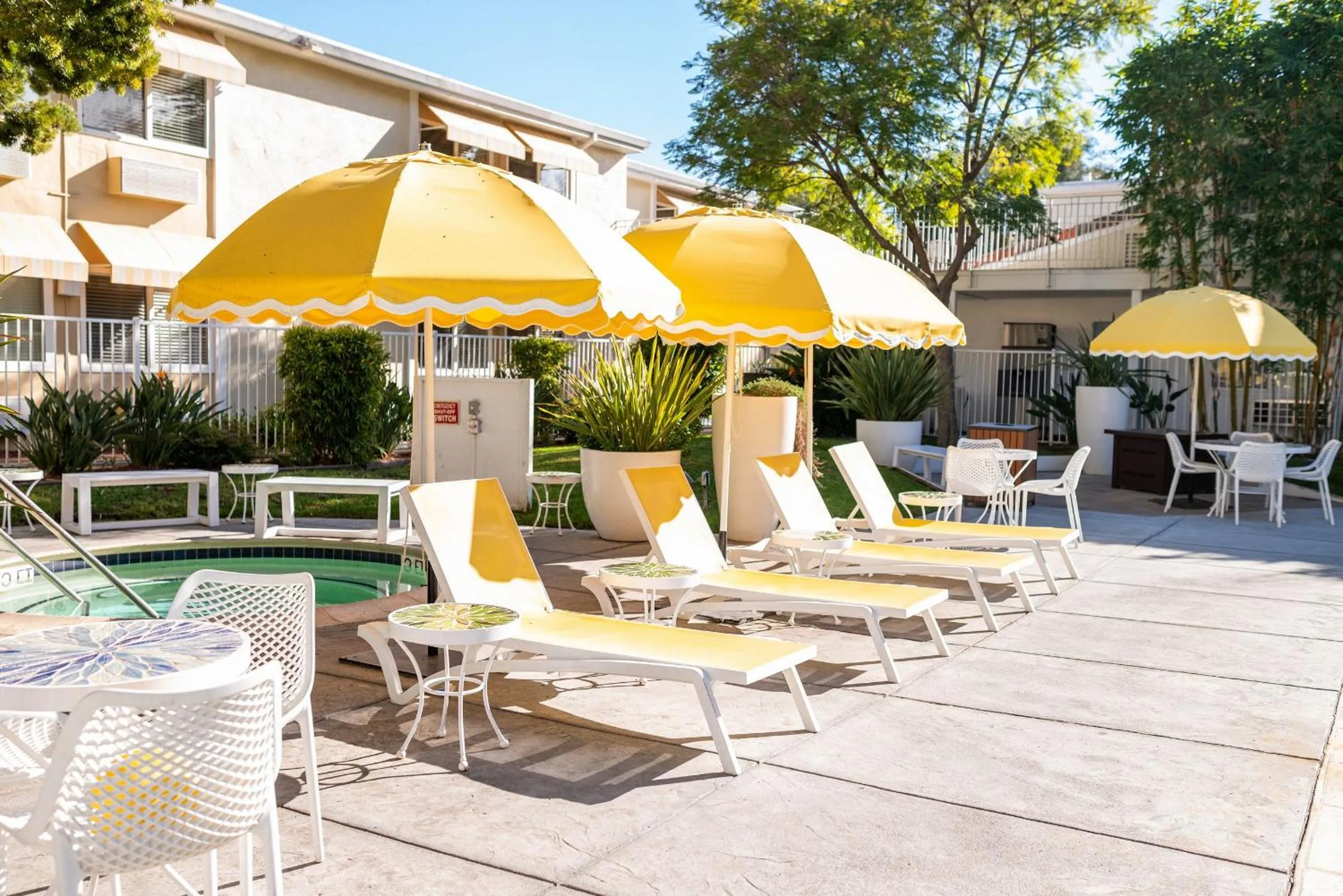 Swimming pool in Wild Palms, a JdV by Hyatt Hotel