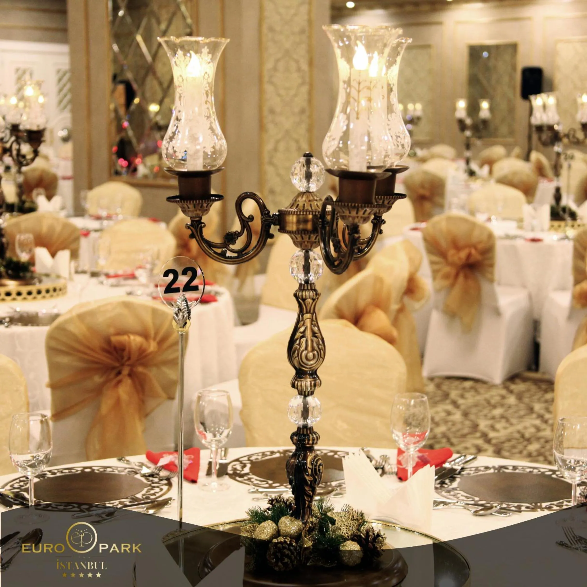 Banquet/Function facilities in Euro Park Otel
