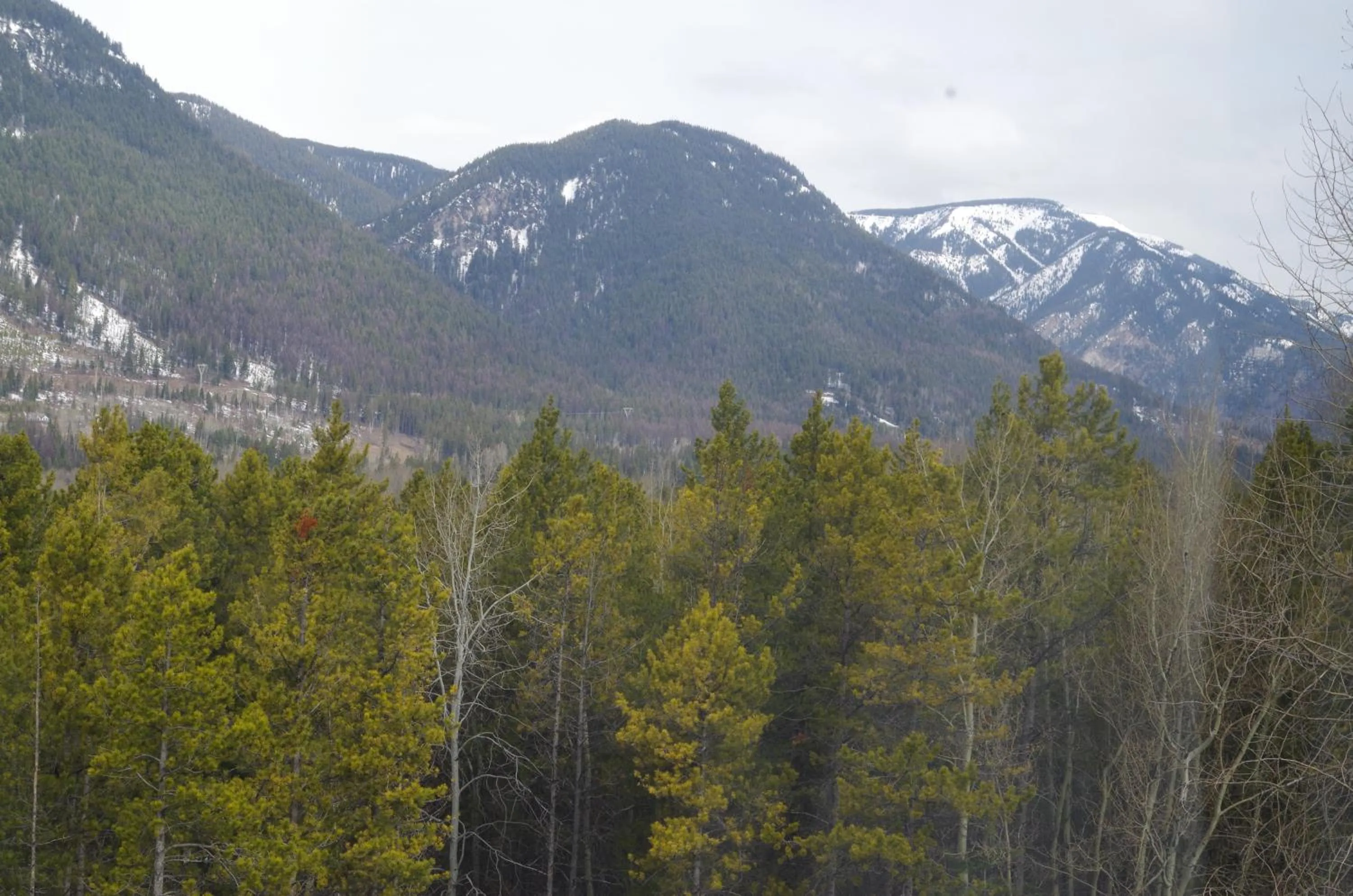 Mountain view in Causeway Bay Hotel
