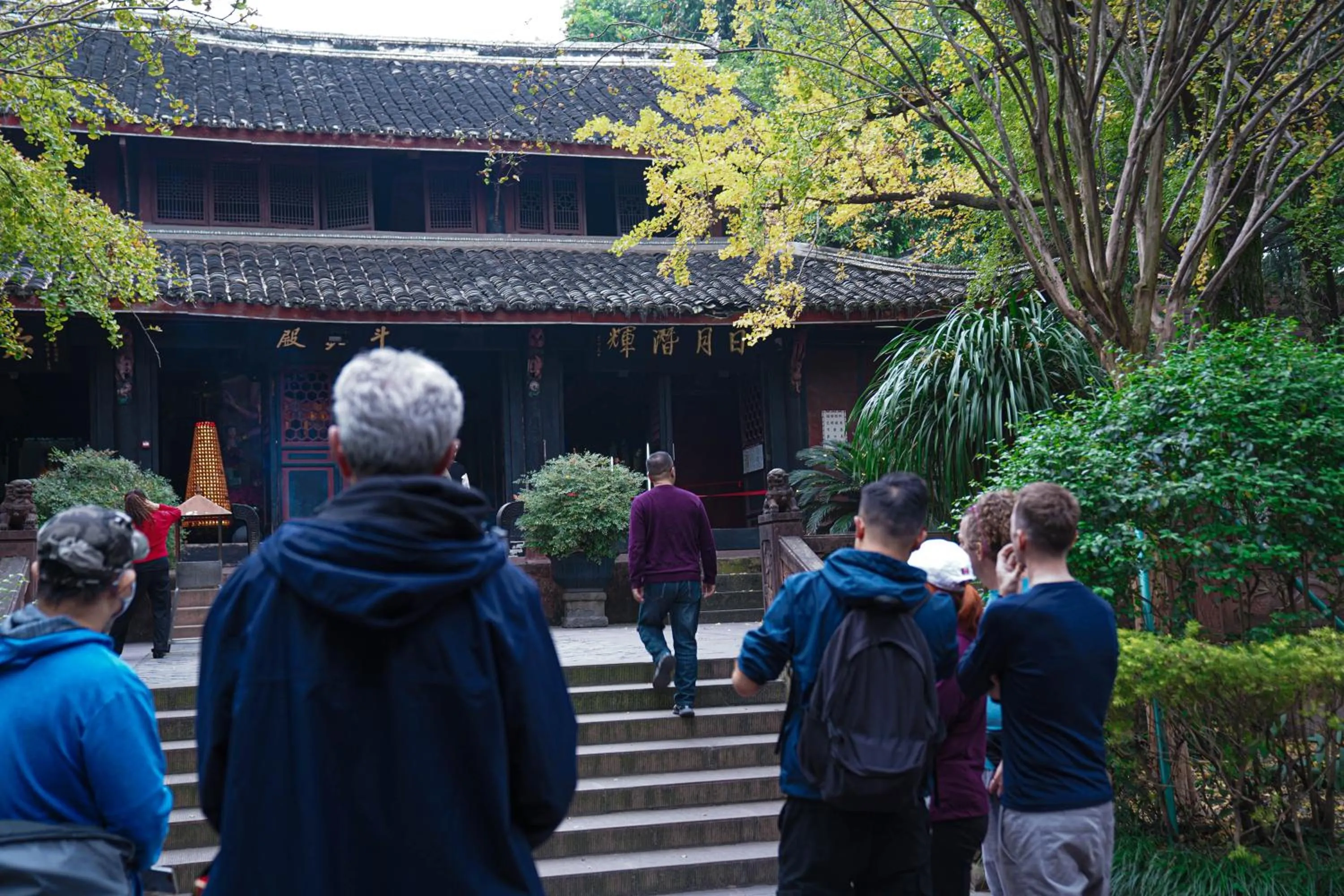 Activities in Chengdu Local Tea Hostel - Short Walk To Taikooli - Chill & Social Coffee Lounge - Metro downstairs - Free Activities - Friendly English Speaking Staff - Tibet, Panda, Buddha & Snow Mountain Tours