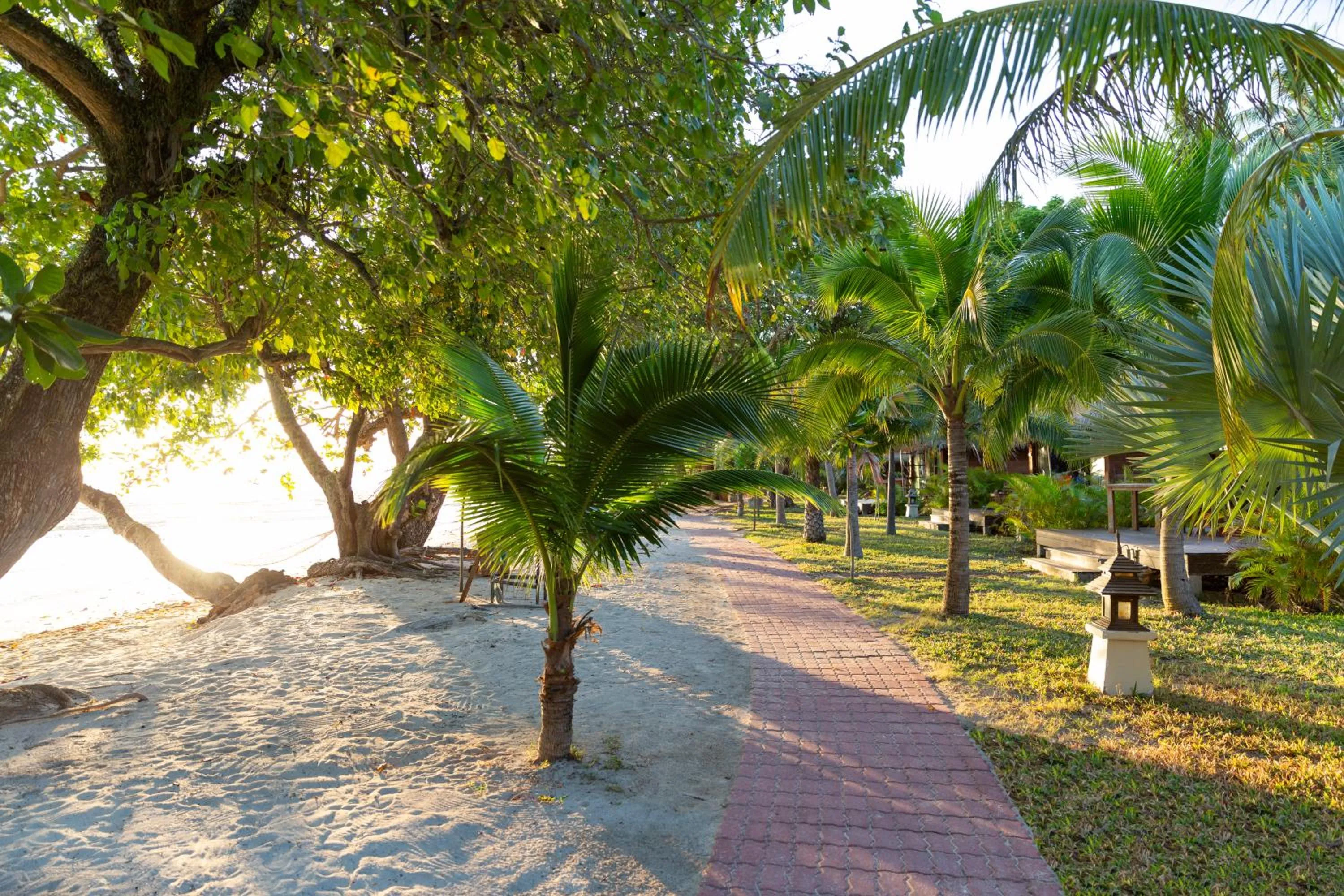 Garden in Mali Kradan
