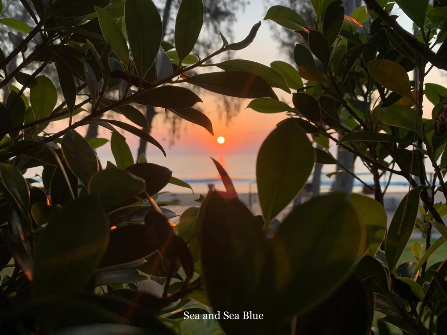 Natural landscape in Sea and Sea Villa Sangaroon