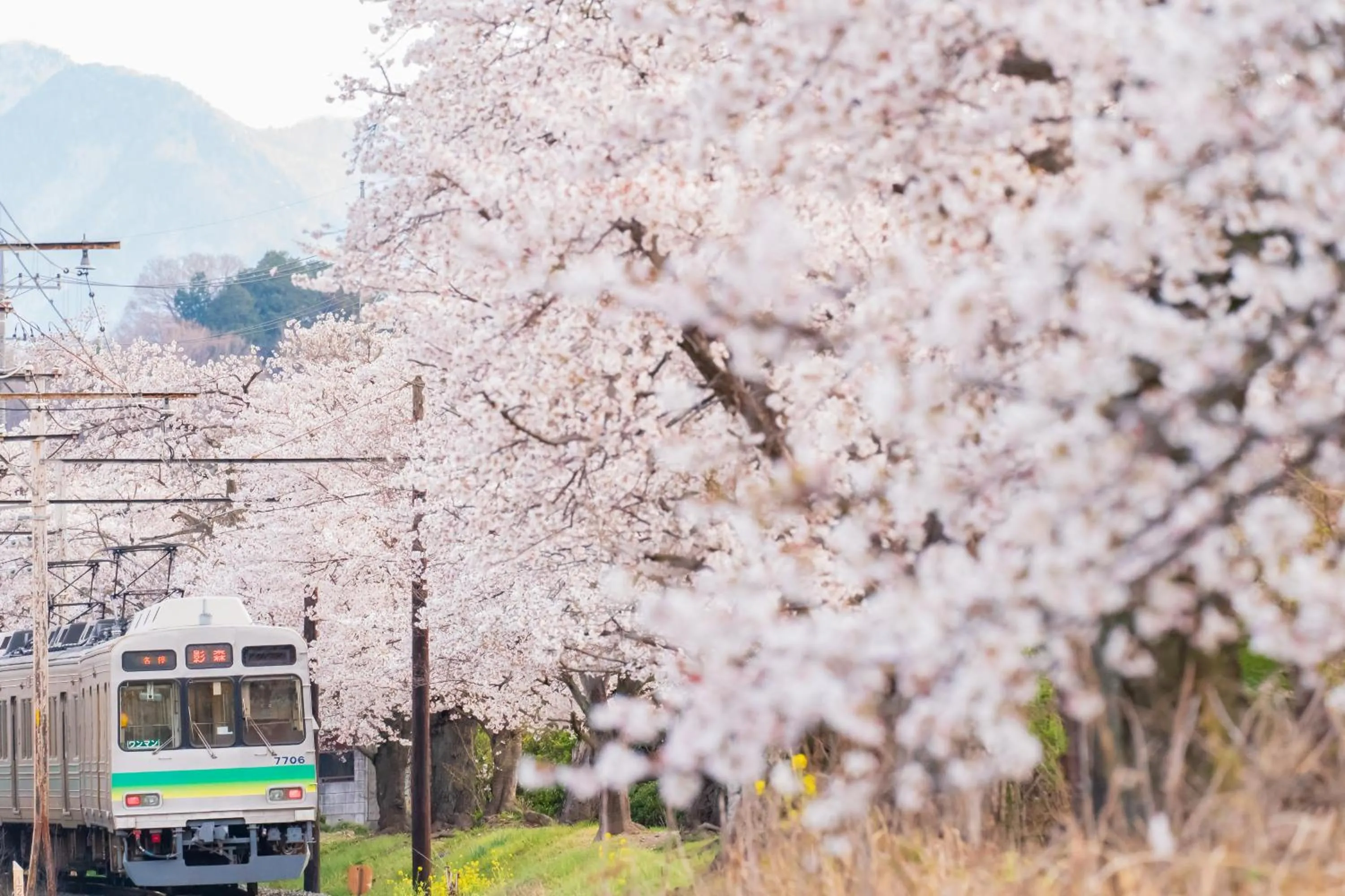 Nearby landmark in KAMENOI HOTEL Nagatoro Yorii