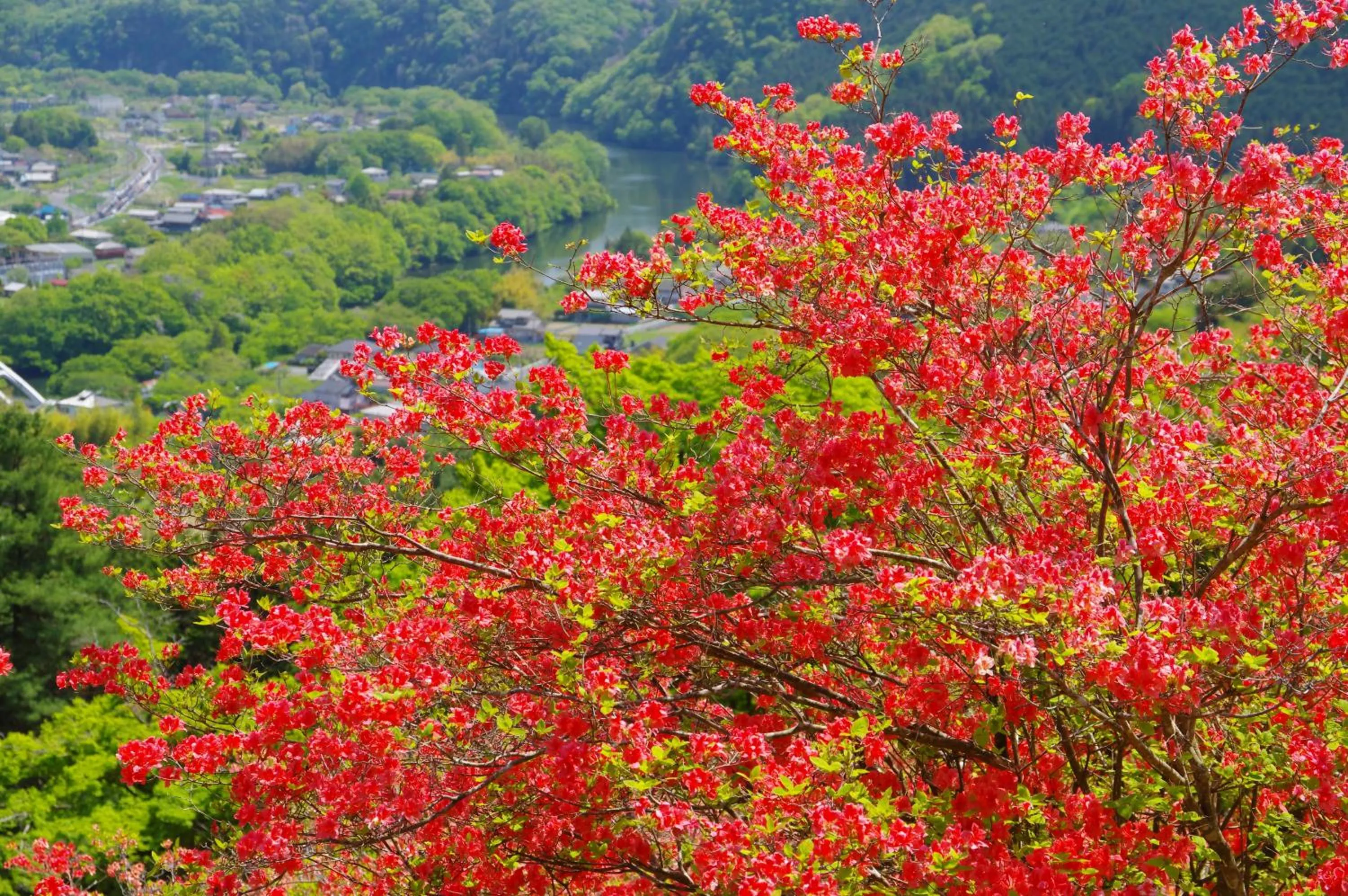 Nearby landmark in KAMENOI HOTEL Nagatoro Yorii