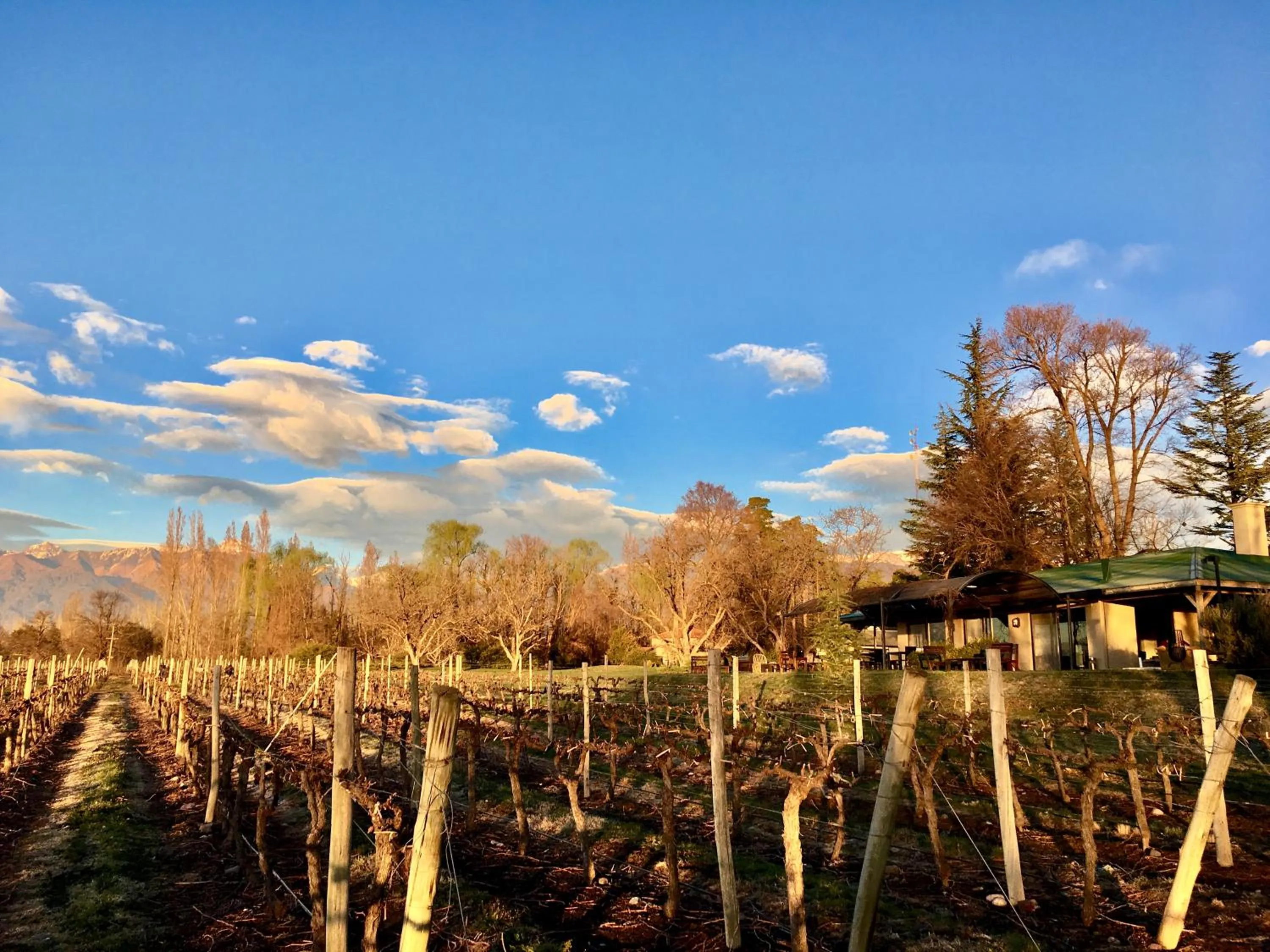 Food and drinks in Posada Salentein