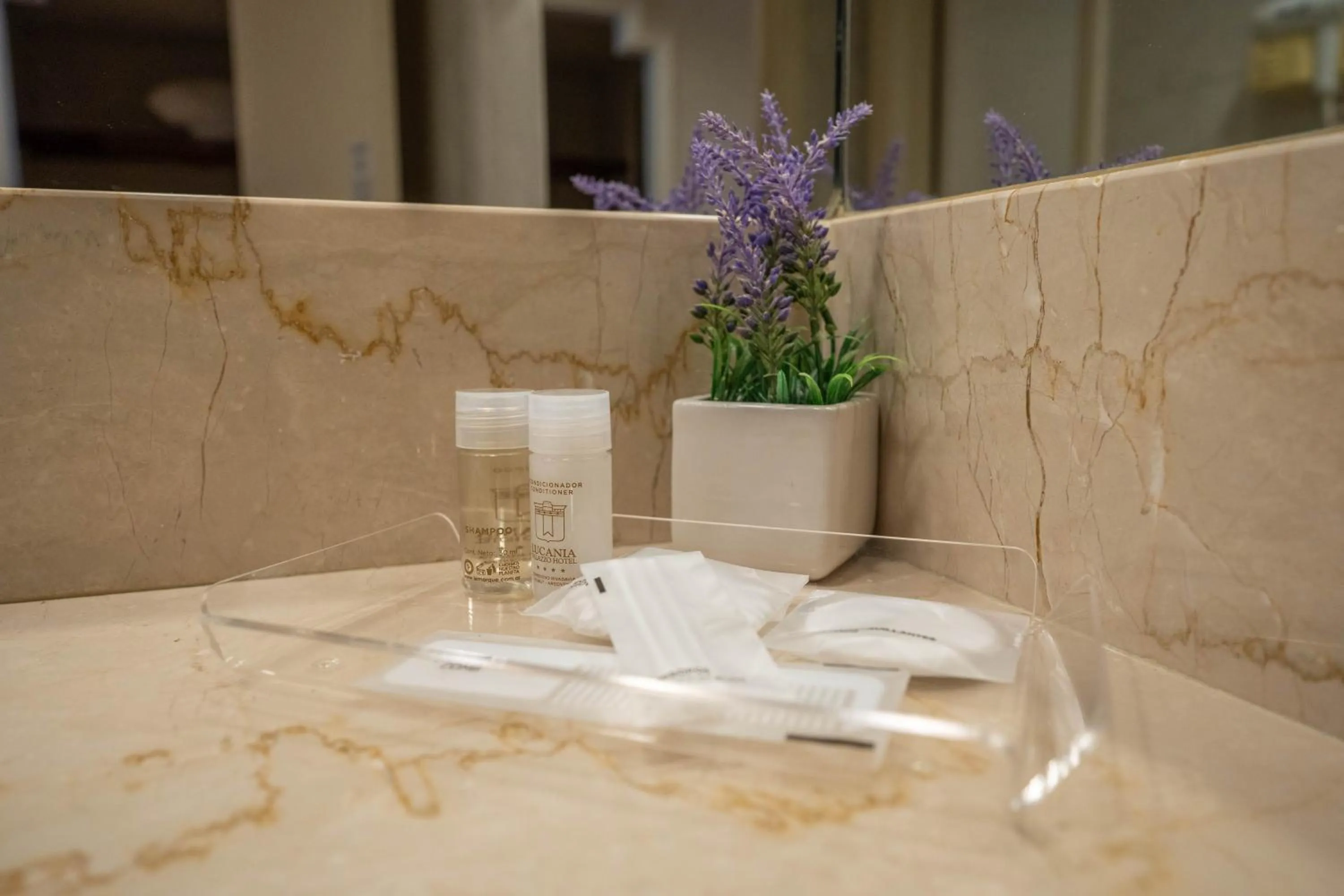 Lucania Palazzo Hotel