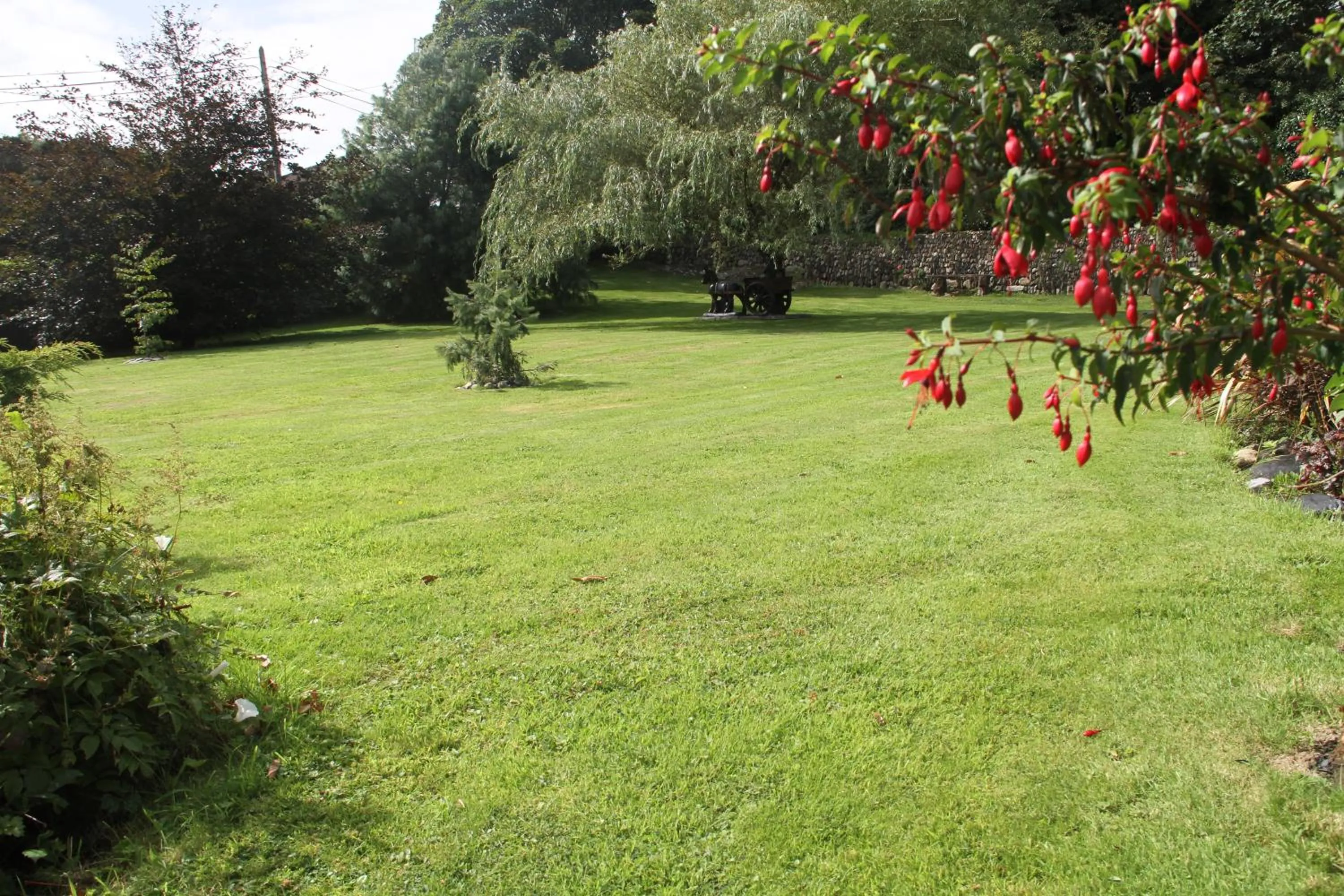 Garden in Marguerite's B&B