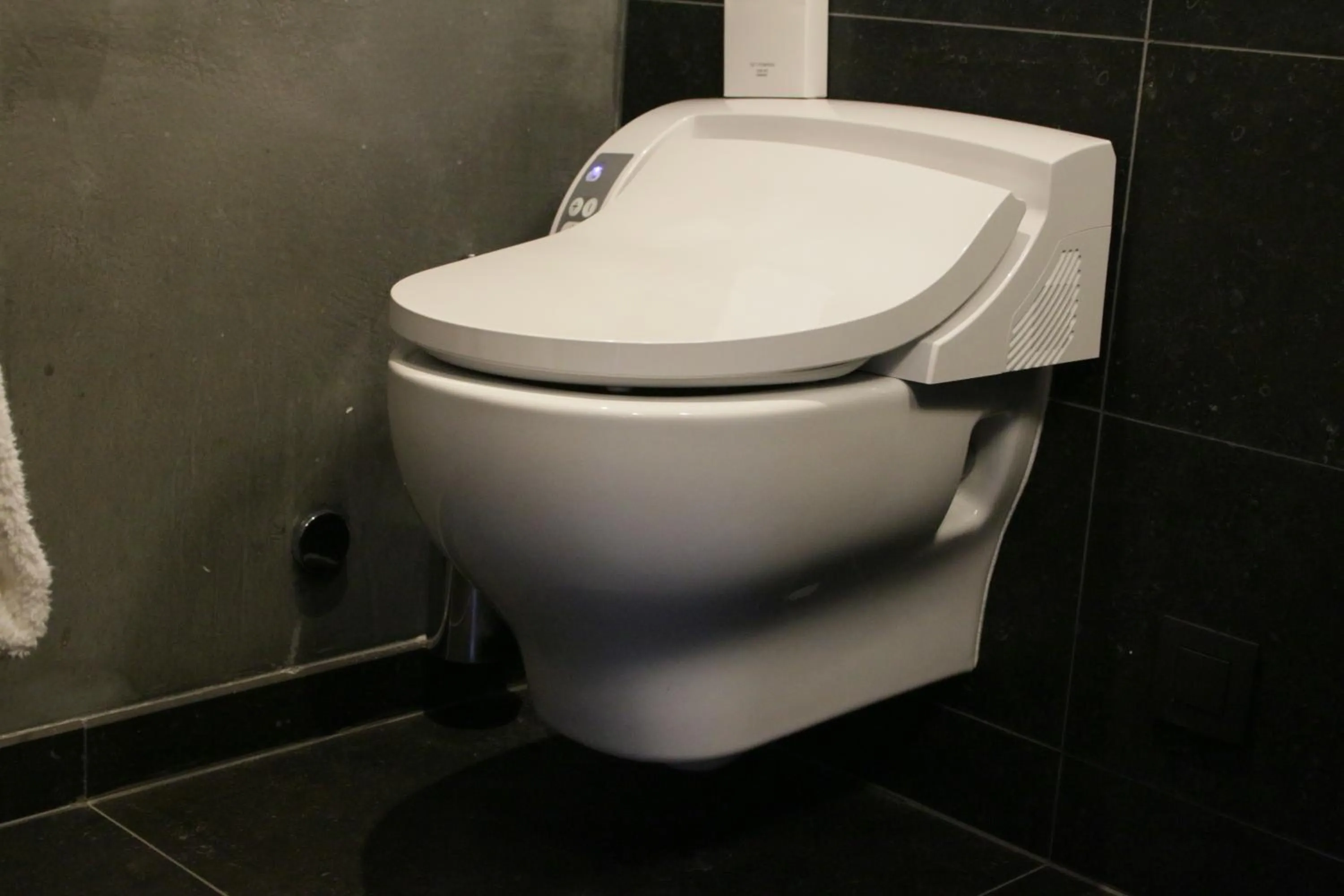 Toilet in M de Megève