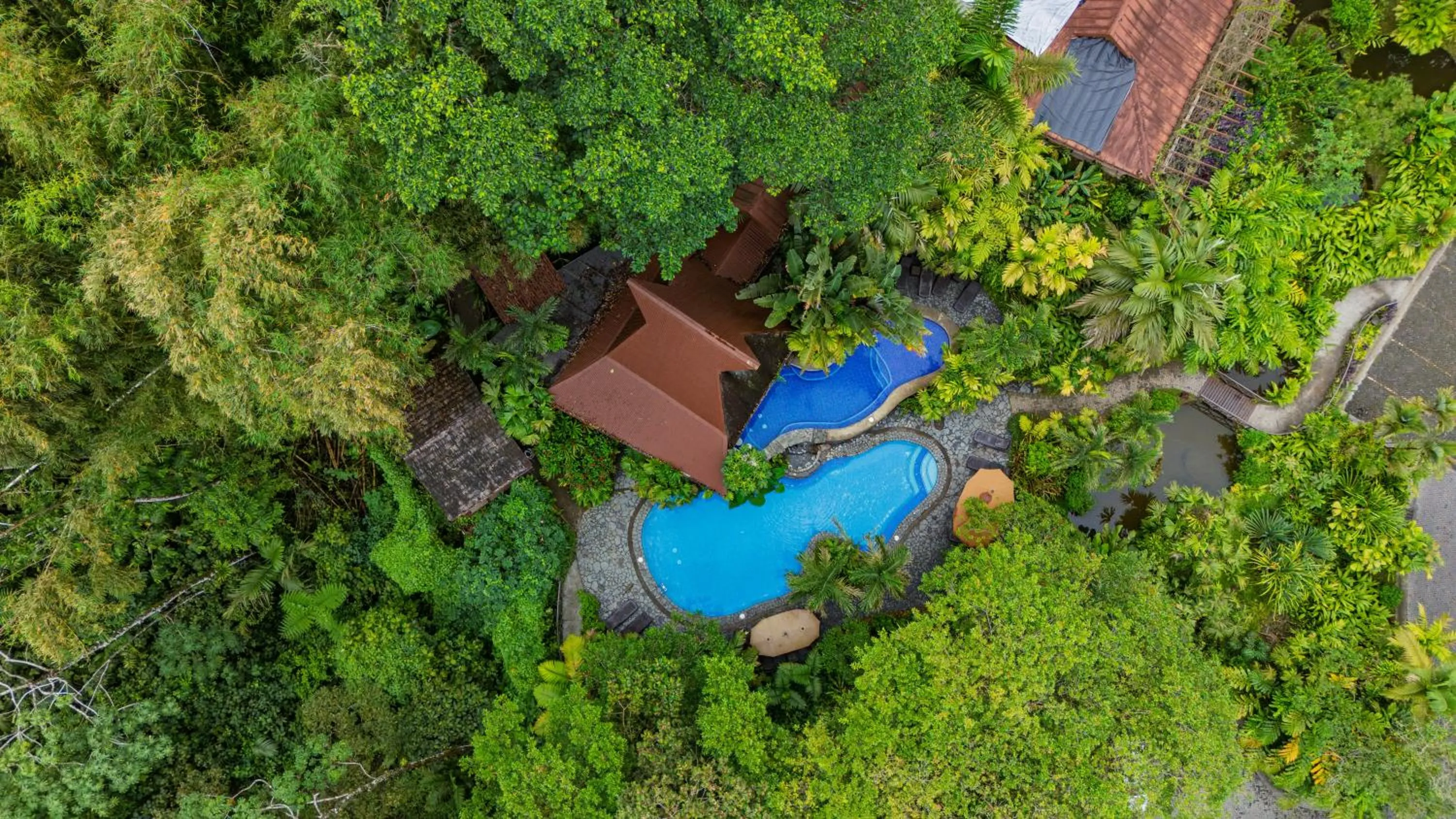 Bird's eye view in Lost Iguana Resort and Spa