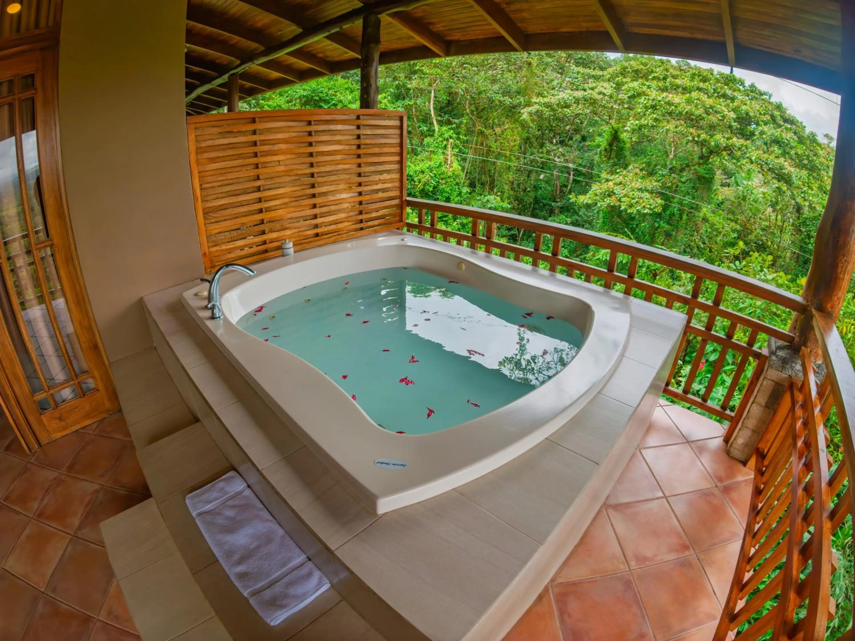 Natural landscape in Lost Iguana Resort and Spa