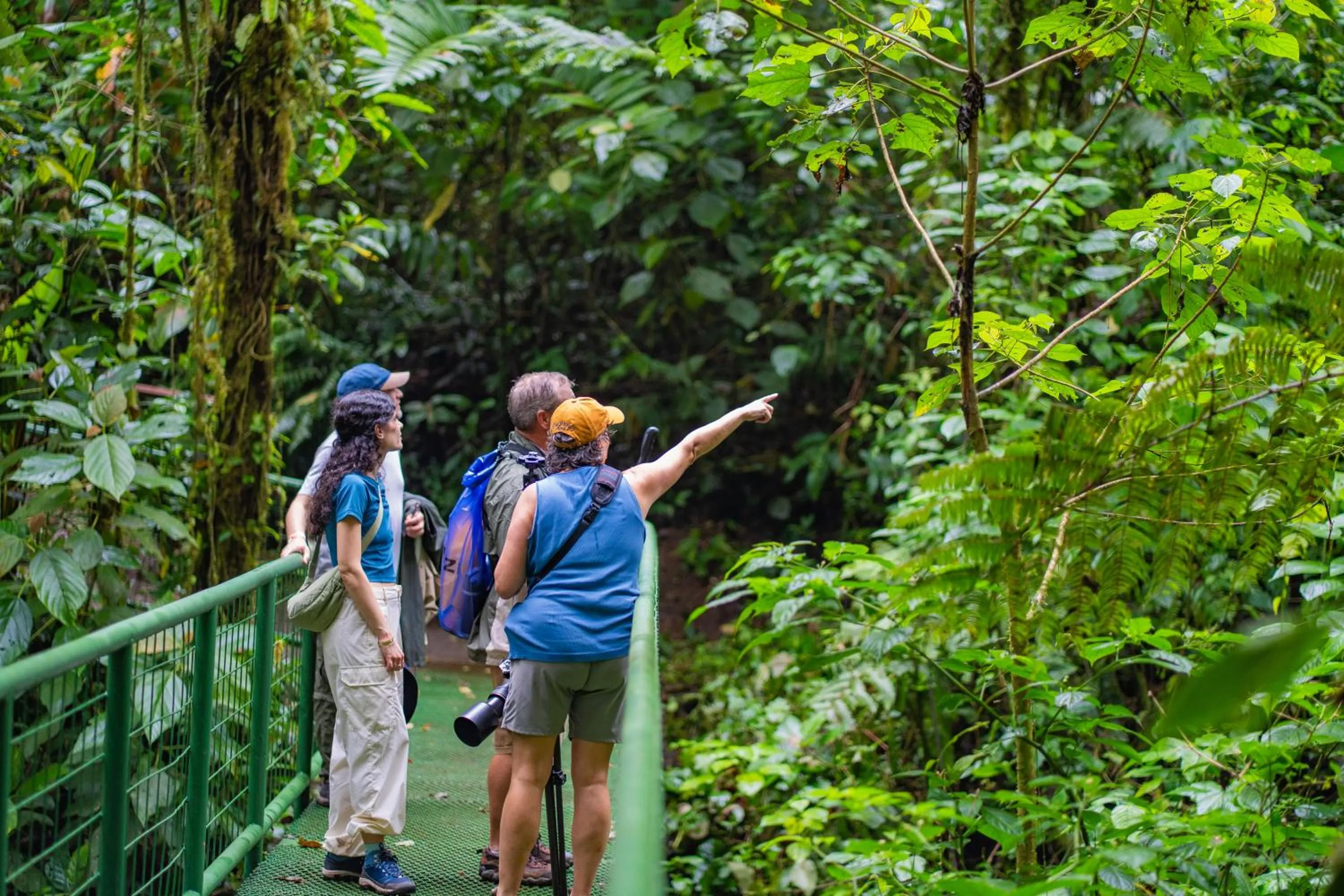 Day in Lost Iguana Resort and Spa