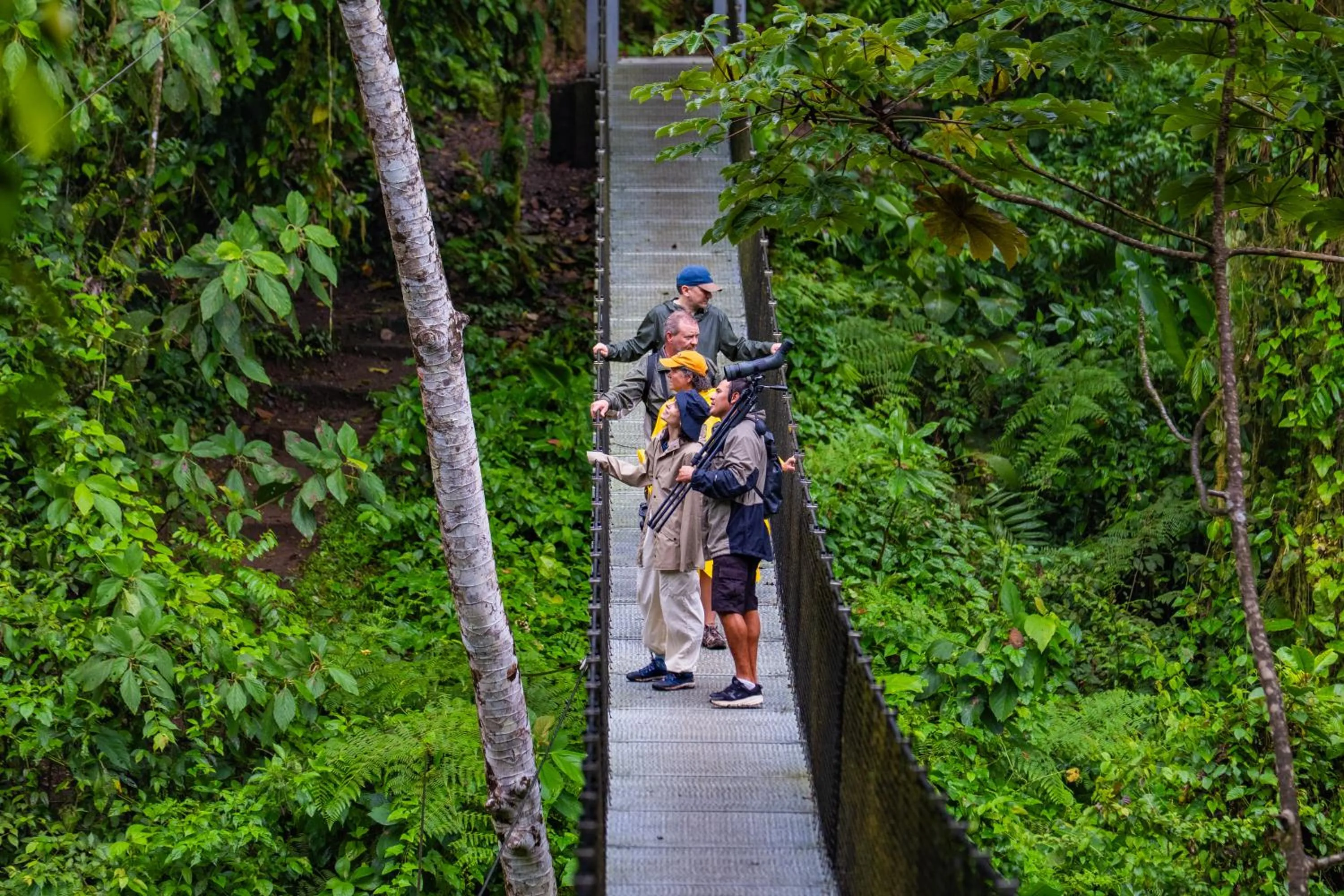 Natural landscape in Lost Iguana Resort and Spa