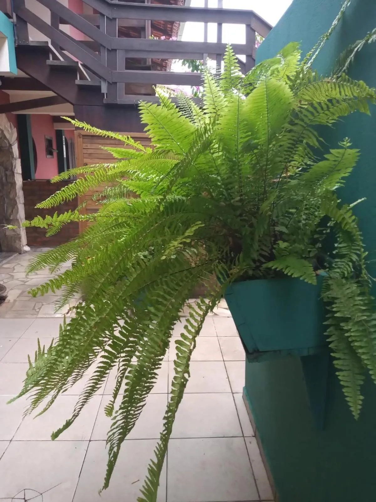 Garden in Pousada Vila D' Itália