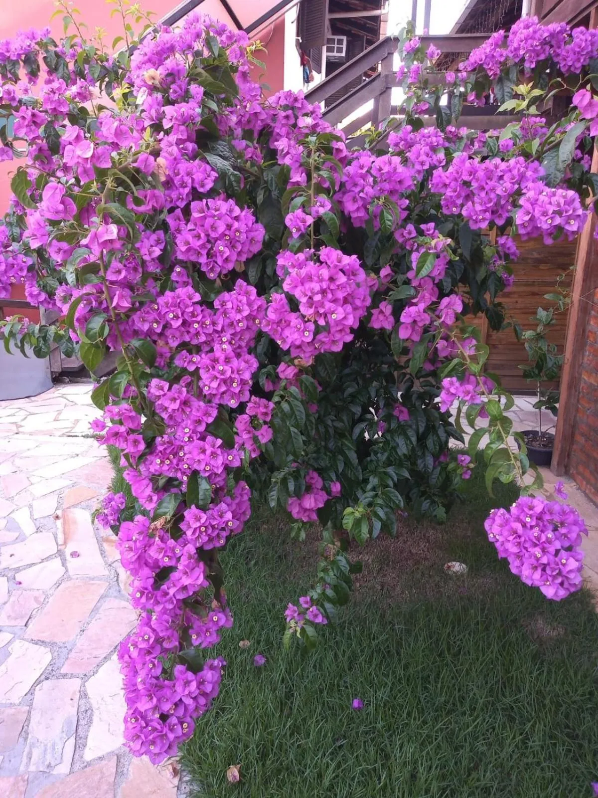 Spring in Pousada Vila D' Itália