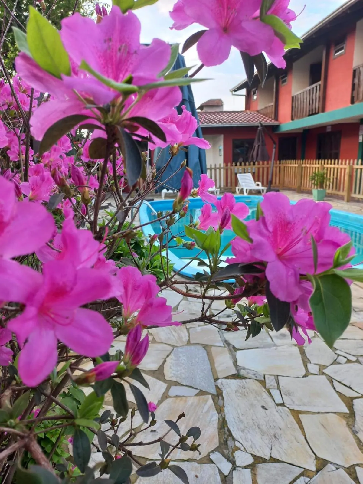 Garden in Pousada Vila D' Itália