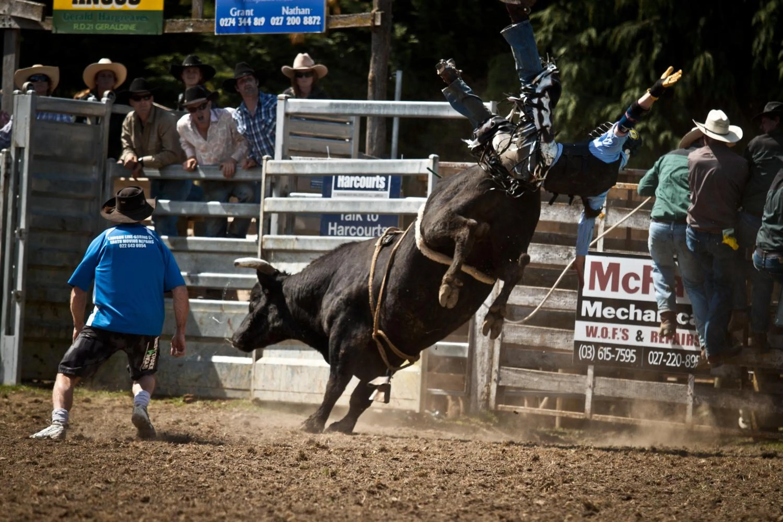 Activities in Phoenix Motels