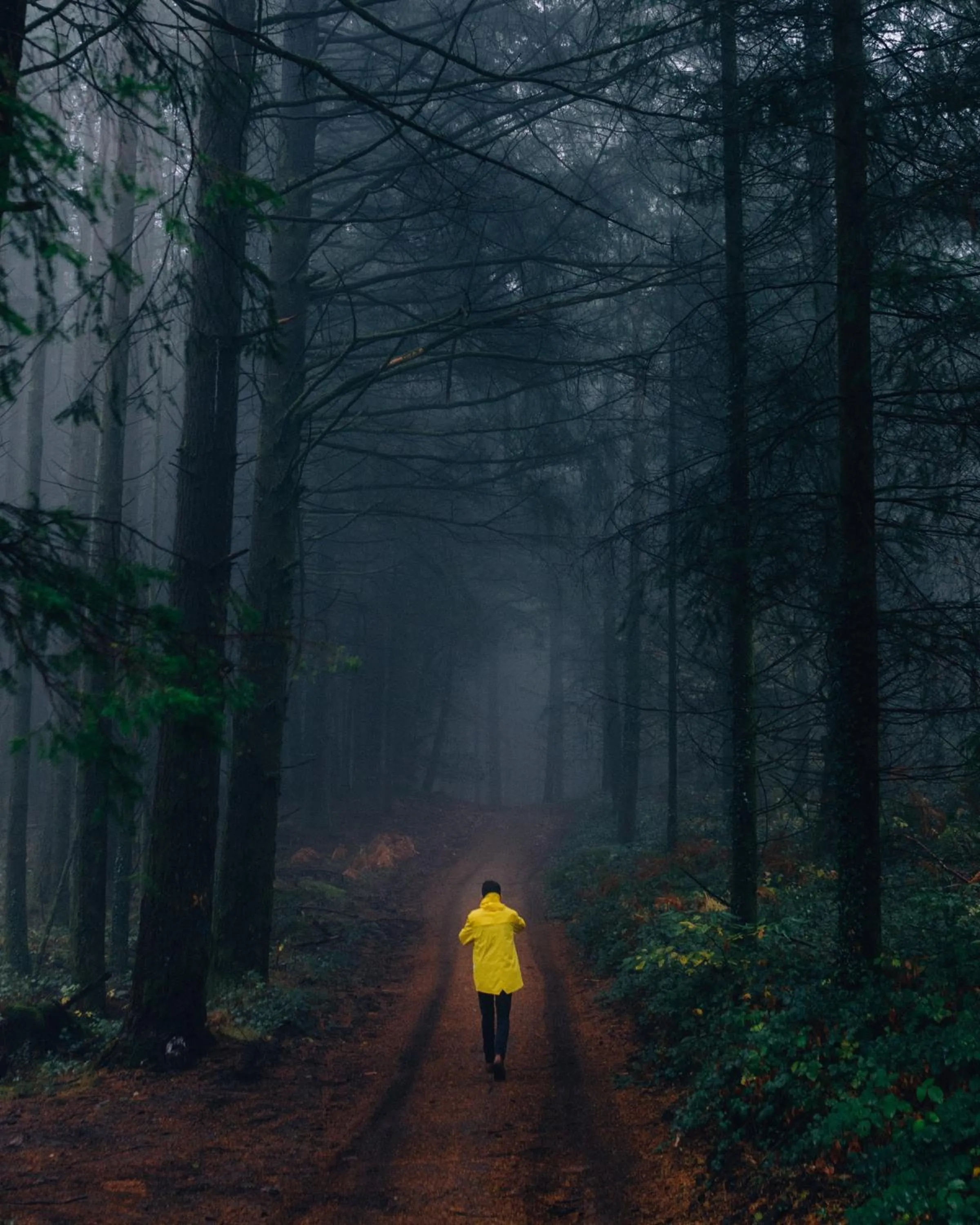 Activities in Loire Valley Lodges - Hotel