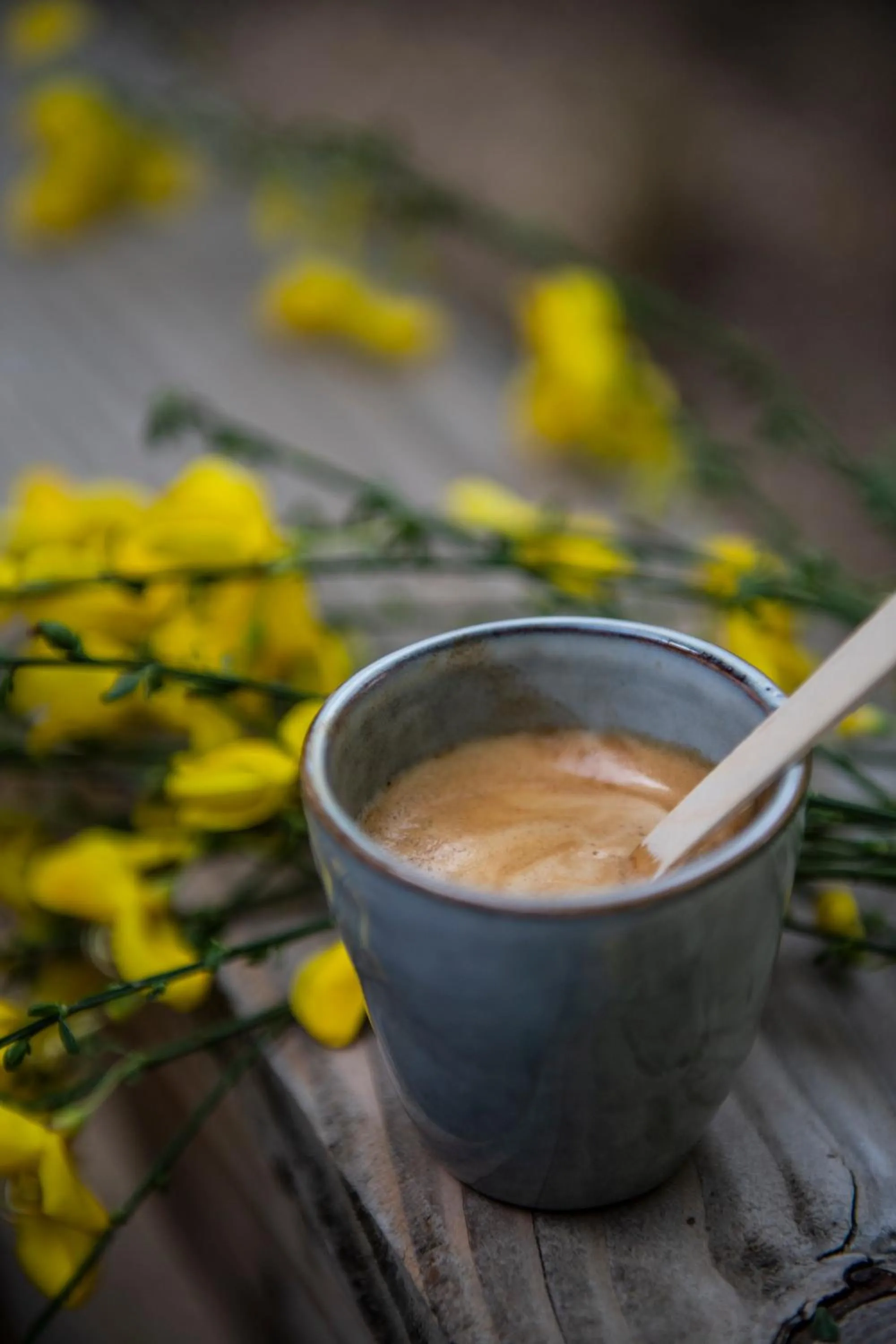 Loire Valley Lodges - Hotel