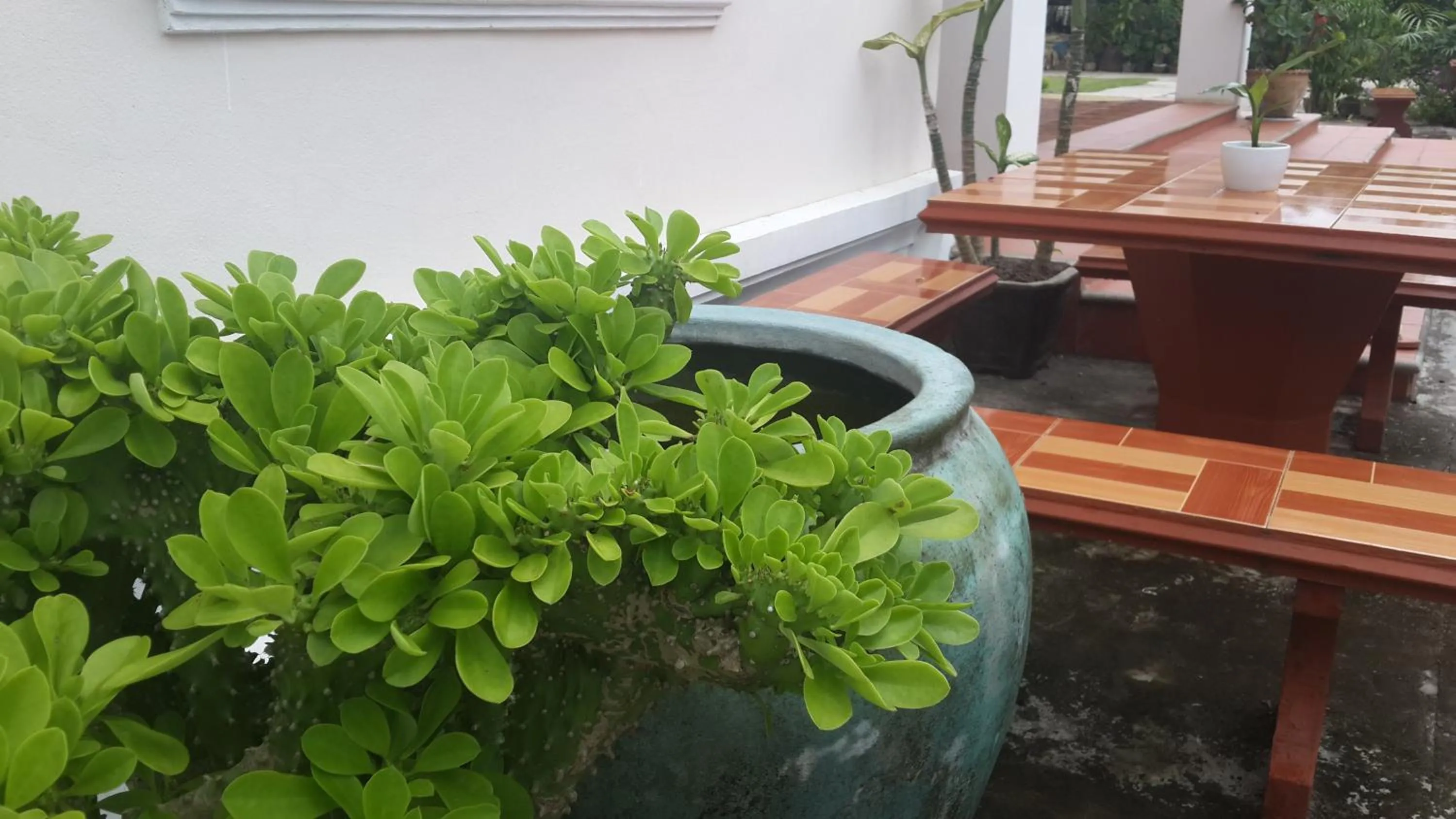 Patio in A Tee Guesthouse