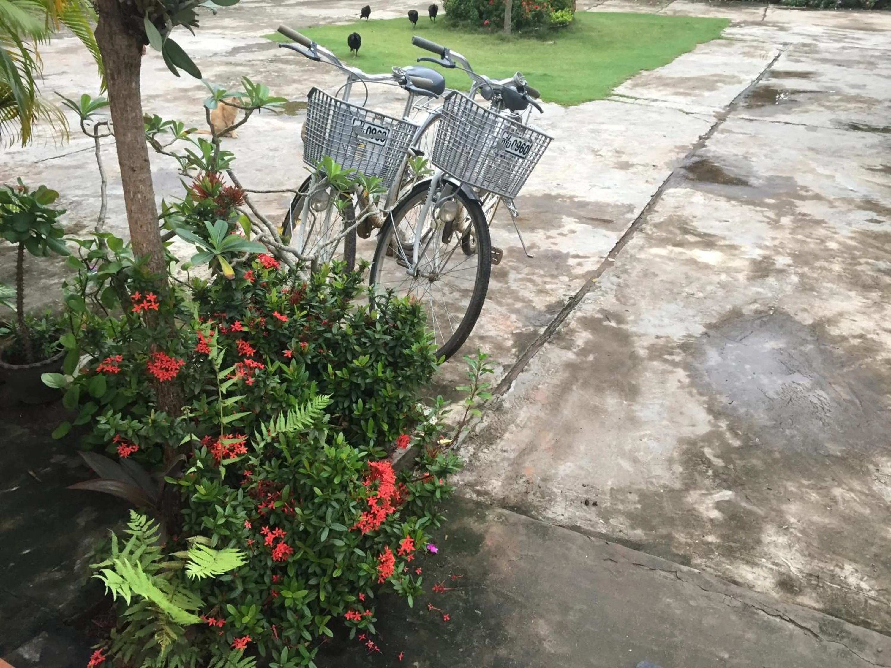 Day in A Tee Guesthouse