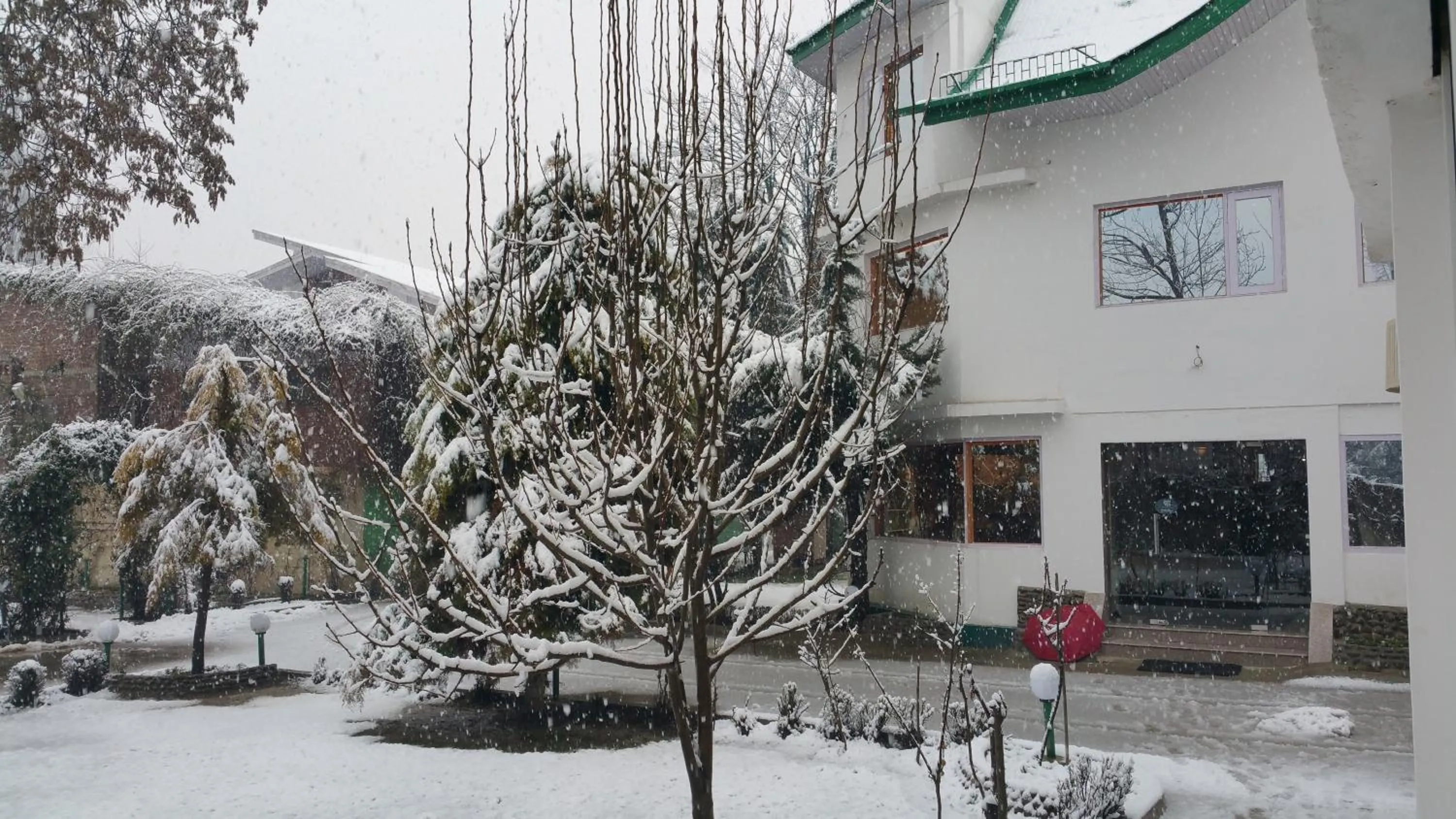 Winter in Hotel Mirage