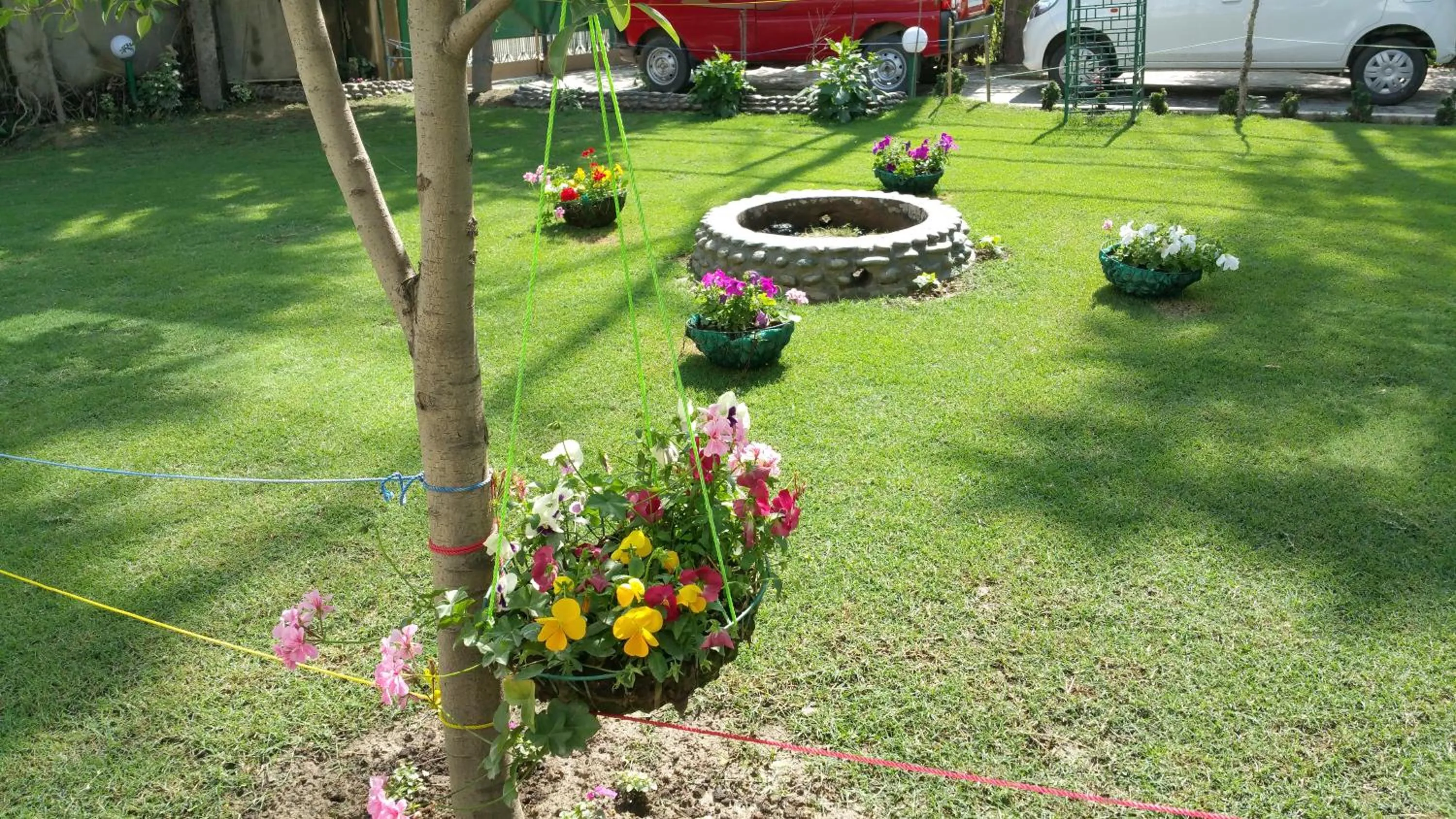 Garden in Hotel Mirage
