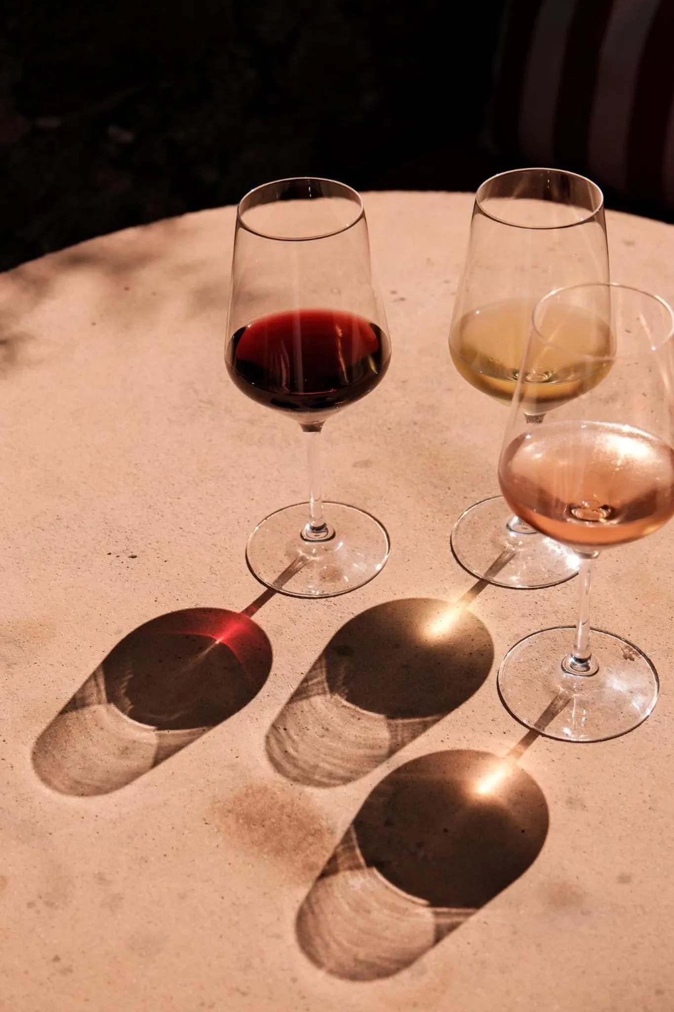 Lounge or bar in Hôtel Ar Iniz