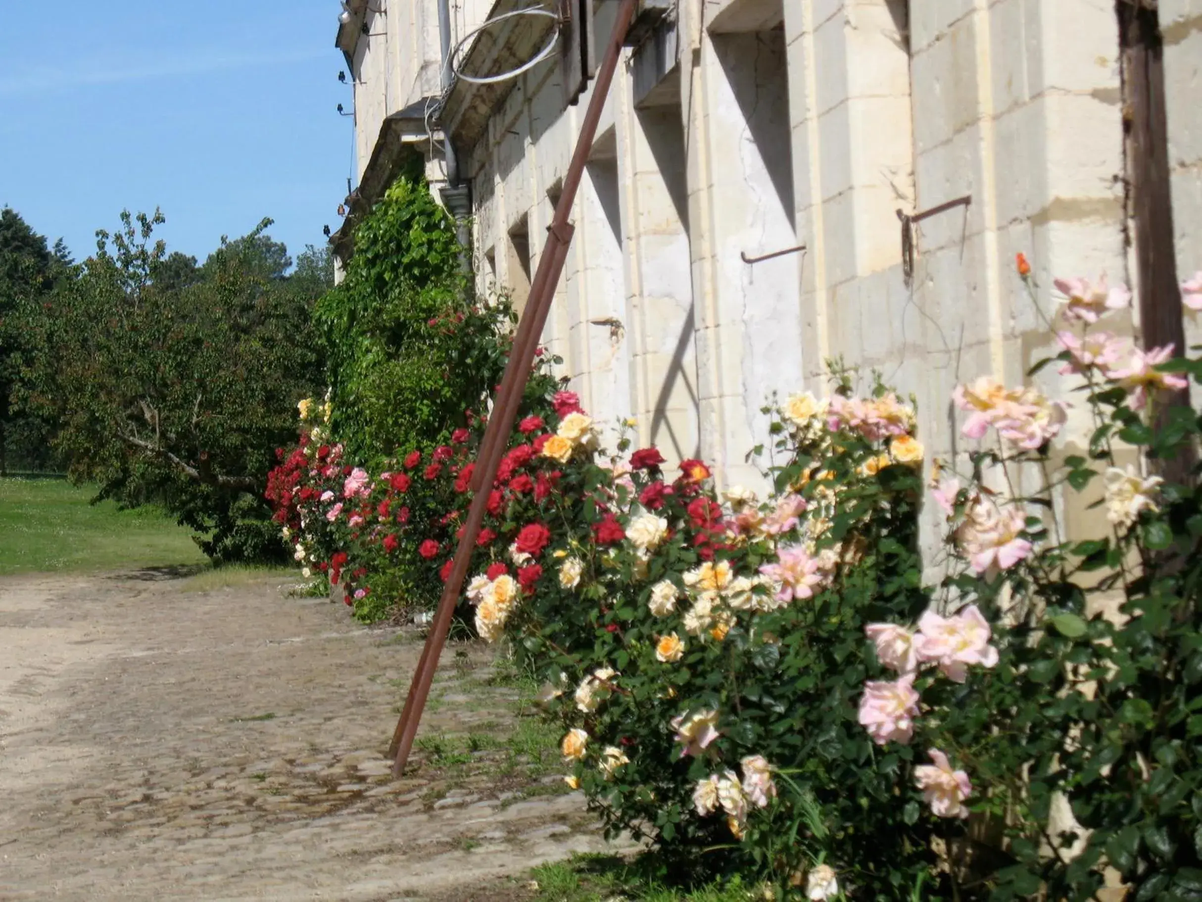 Standard Double Room in La Mesnagerie Standard Double Room in La Mesnagerie
