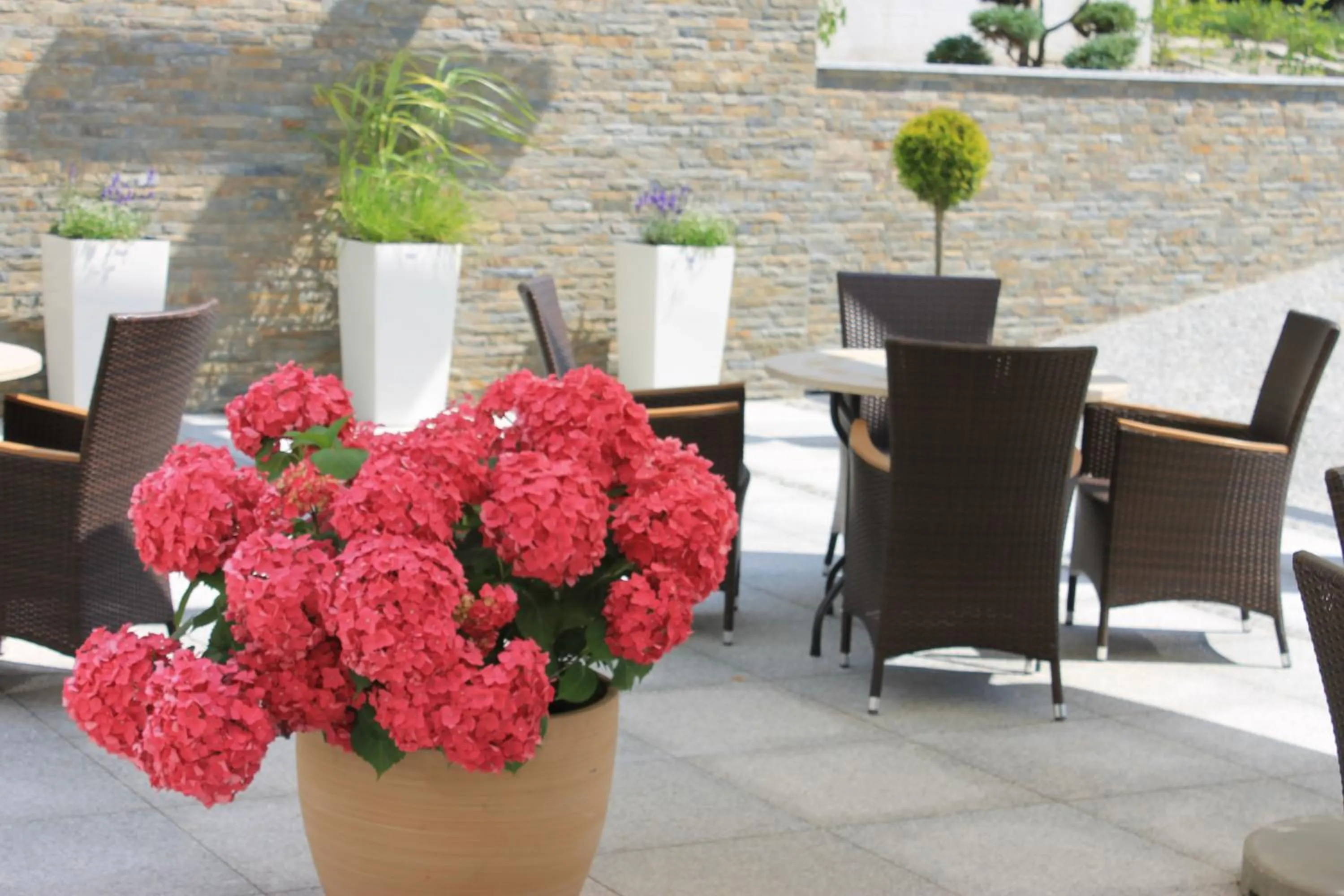 Garden in Hotel Willa Hueta