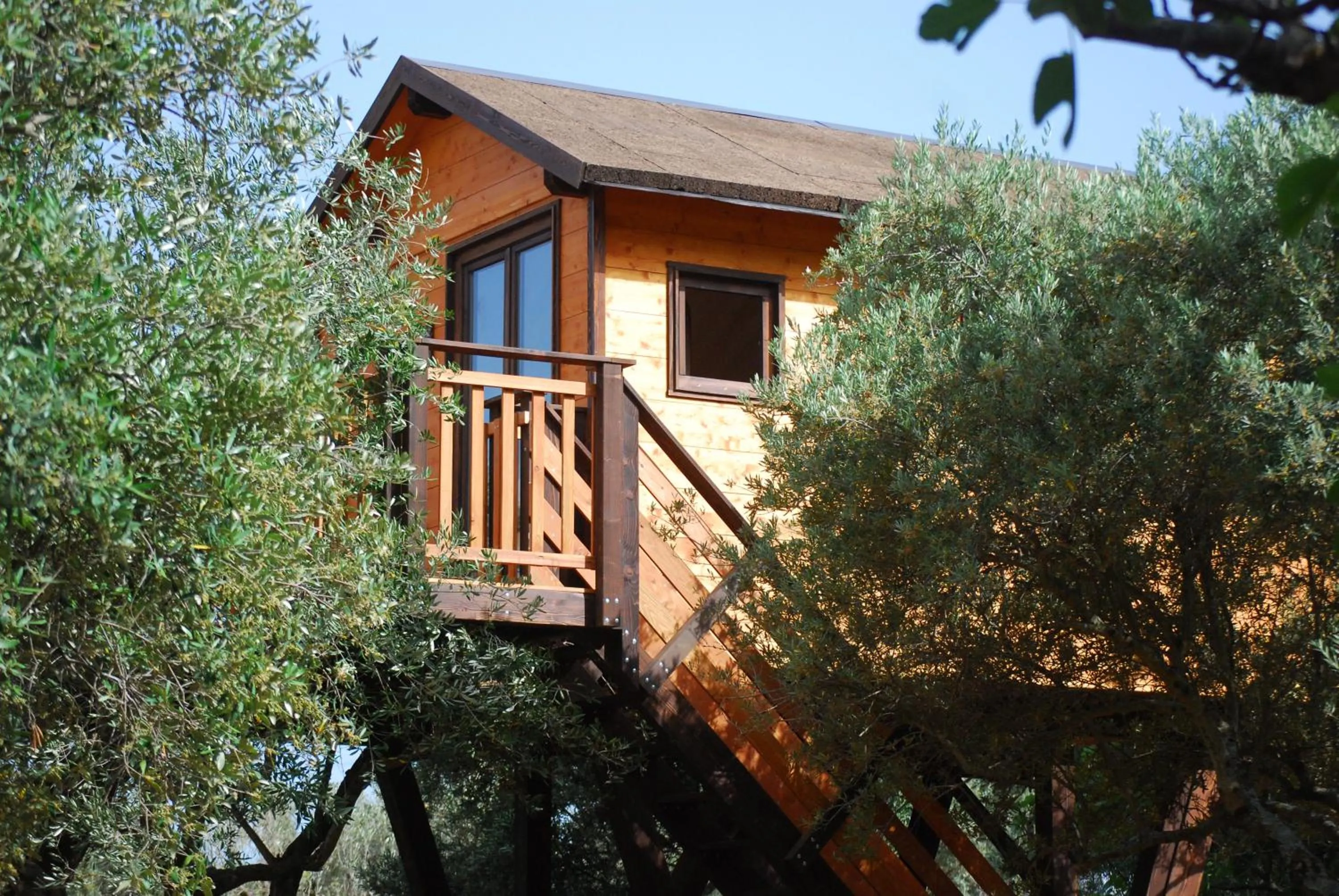 Property building in Palazzo Conforti Tree House Resort