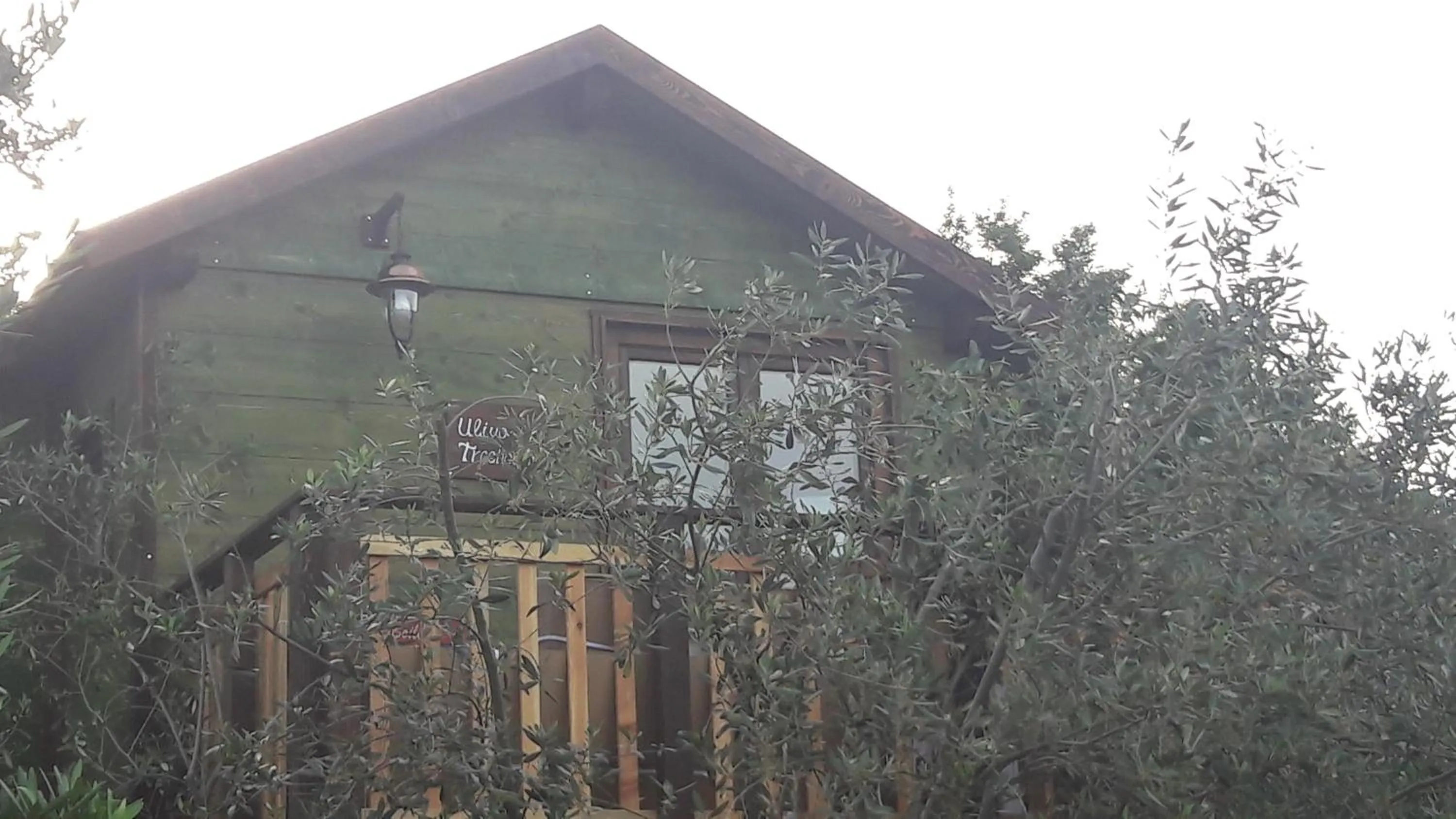 Palazzo Conforti Tree House Resort