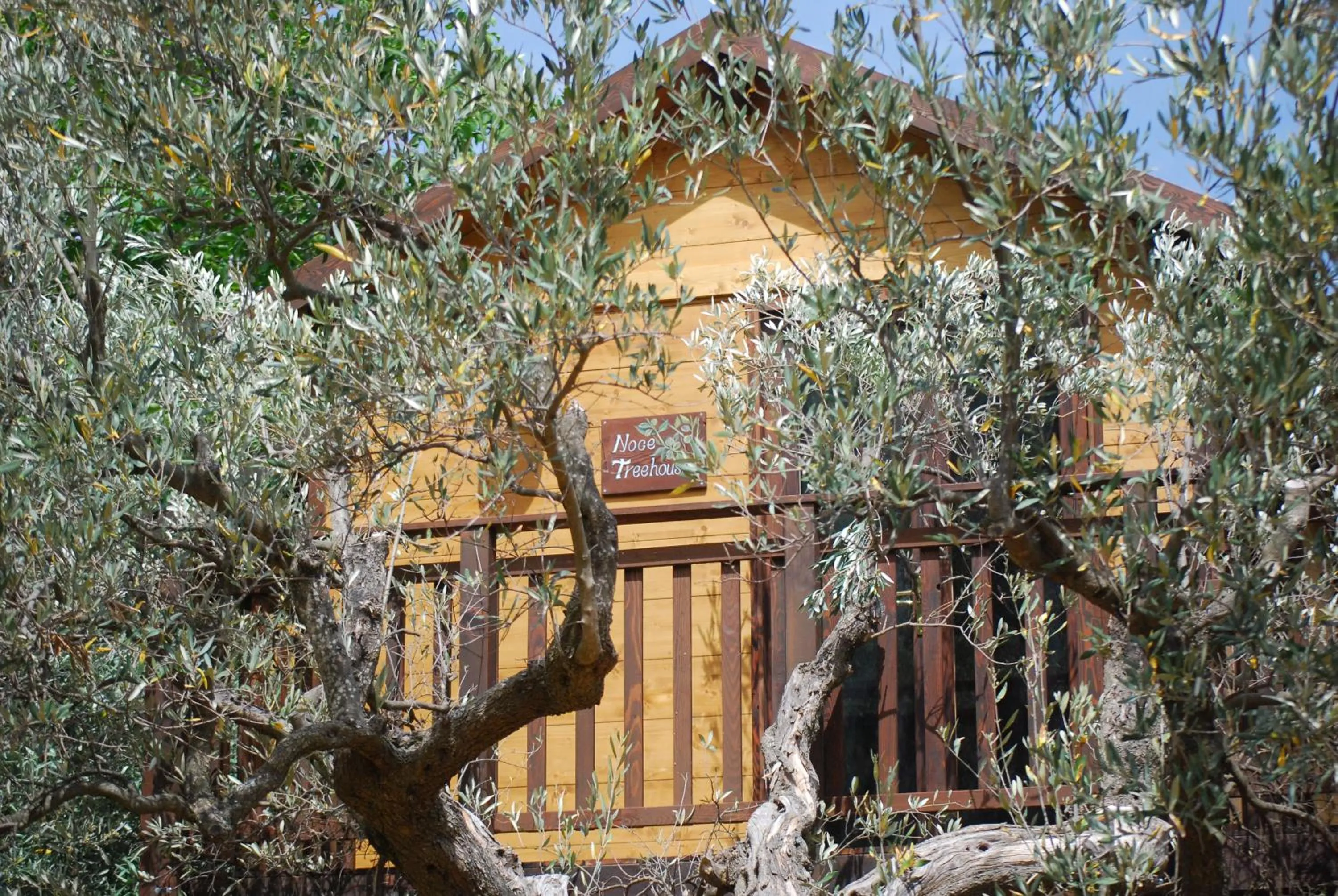 Palazzo Conforti Tree House Resort