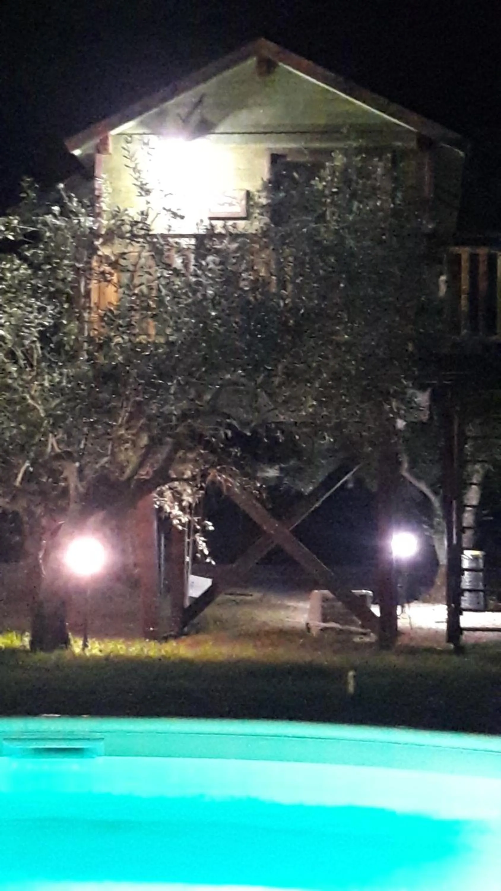 Palazzo Conforti Tree House Resort