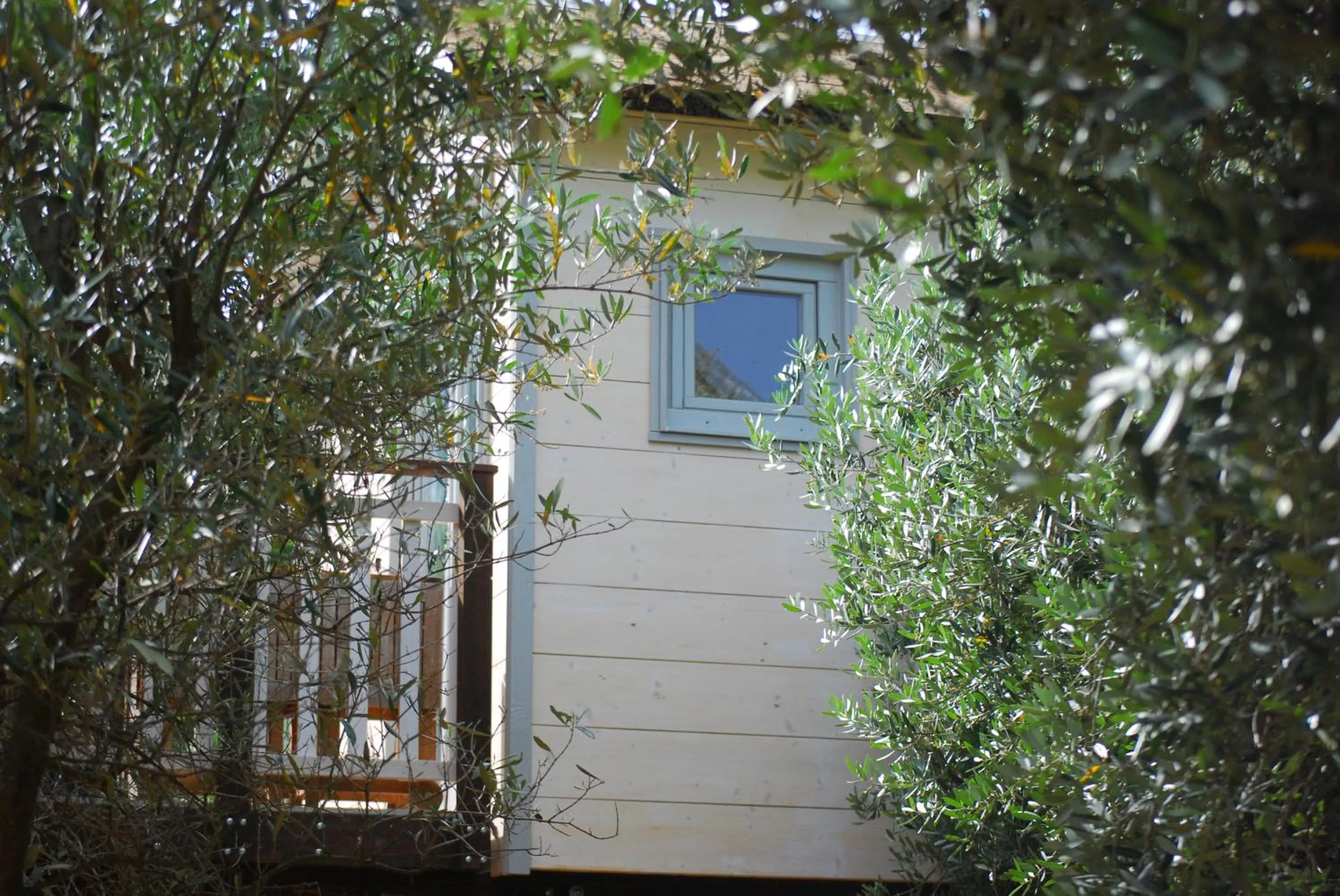 Palazzo Conforti Tree House Resort