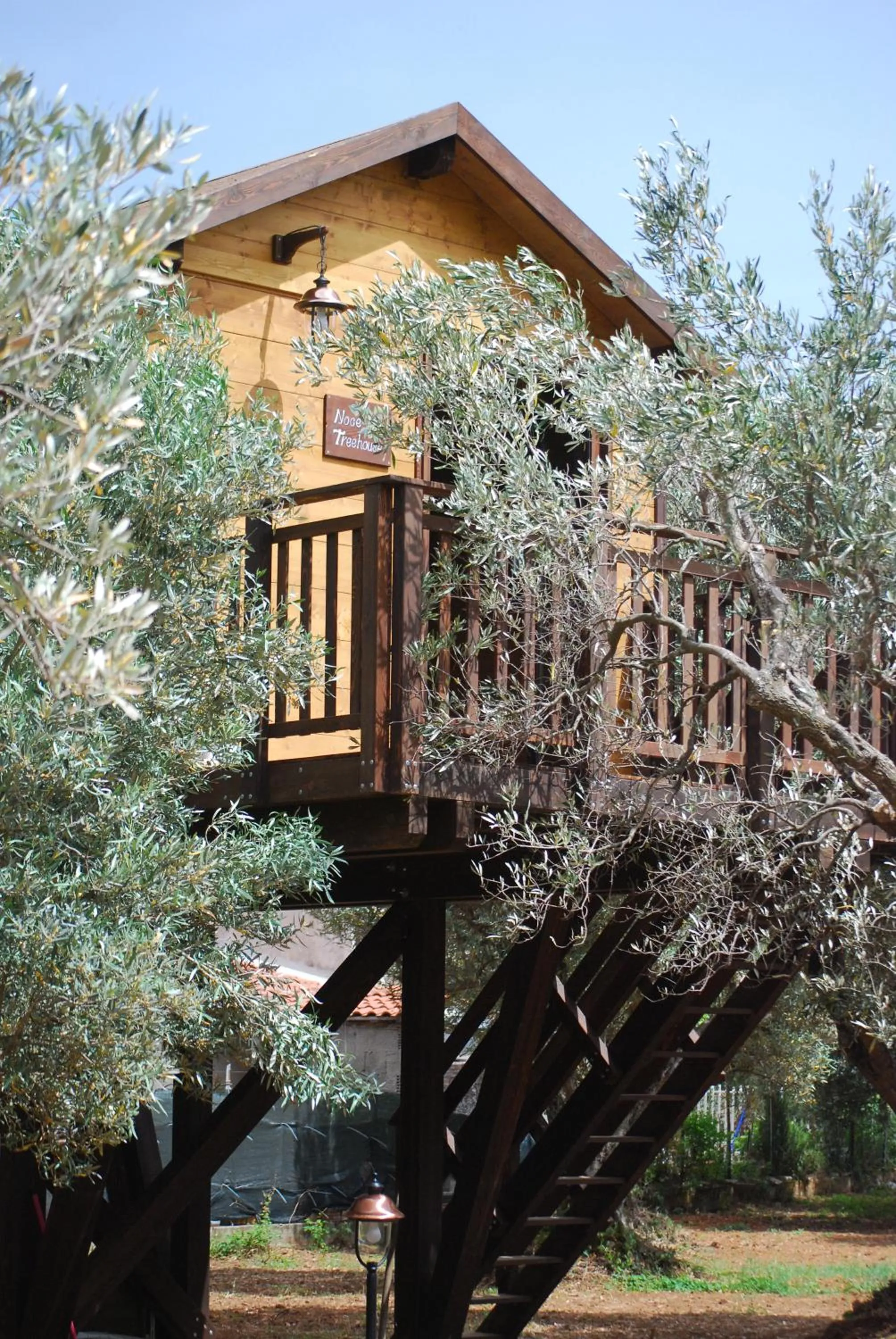 Palazzo Conforti Tree House Resort