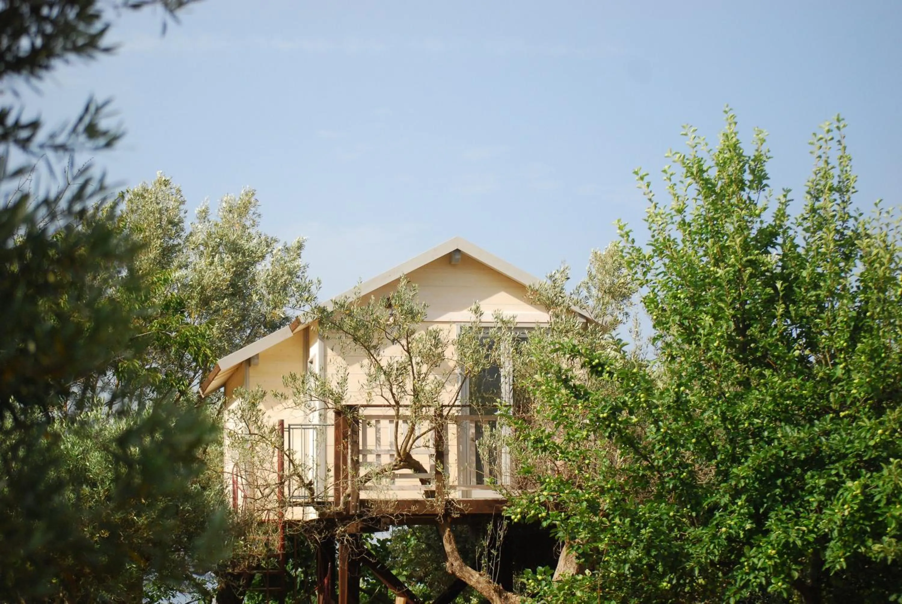 Palazzo Conforti Tree House Resort